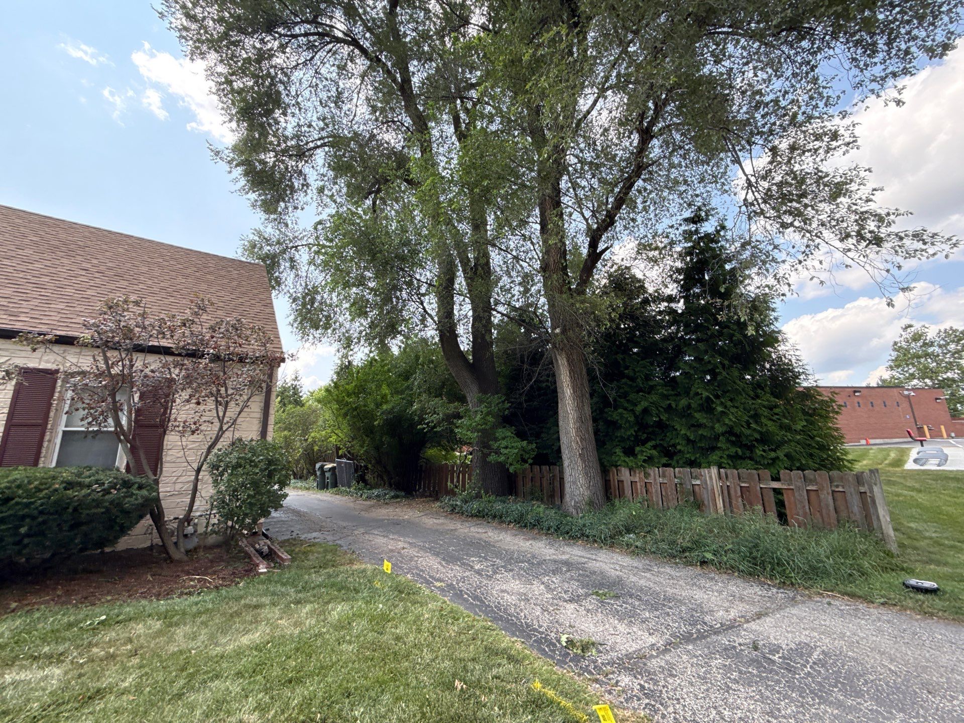Sean D. - Arlington Heights, IL by A&N
