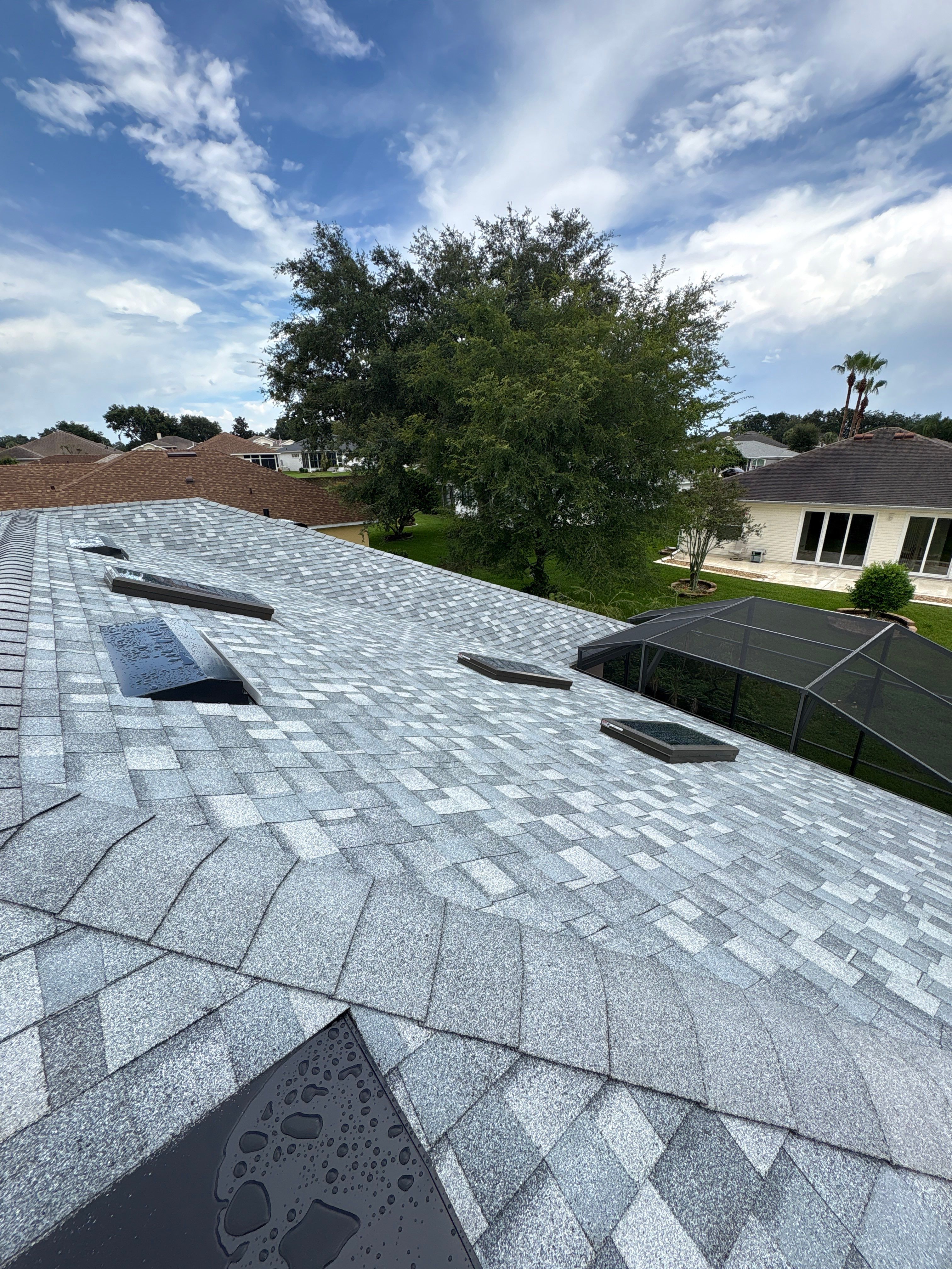 Panther Roof featured photo.