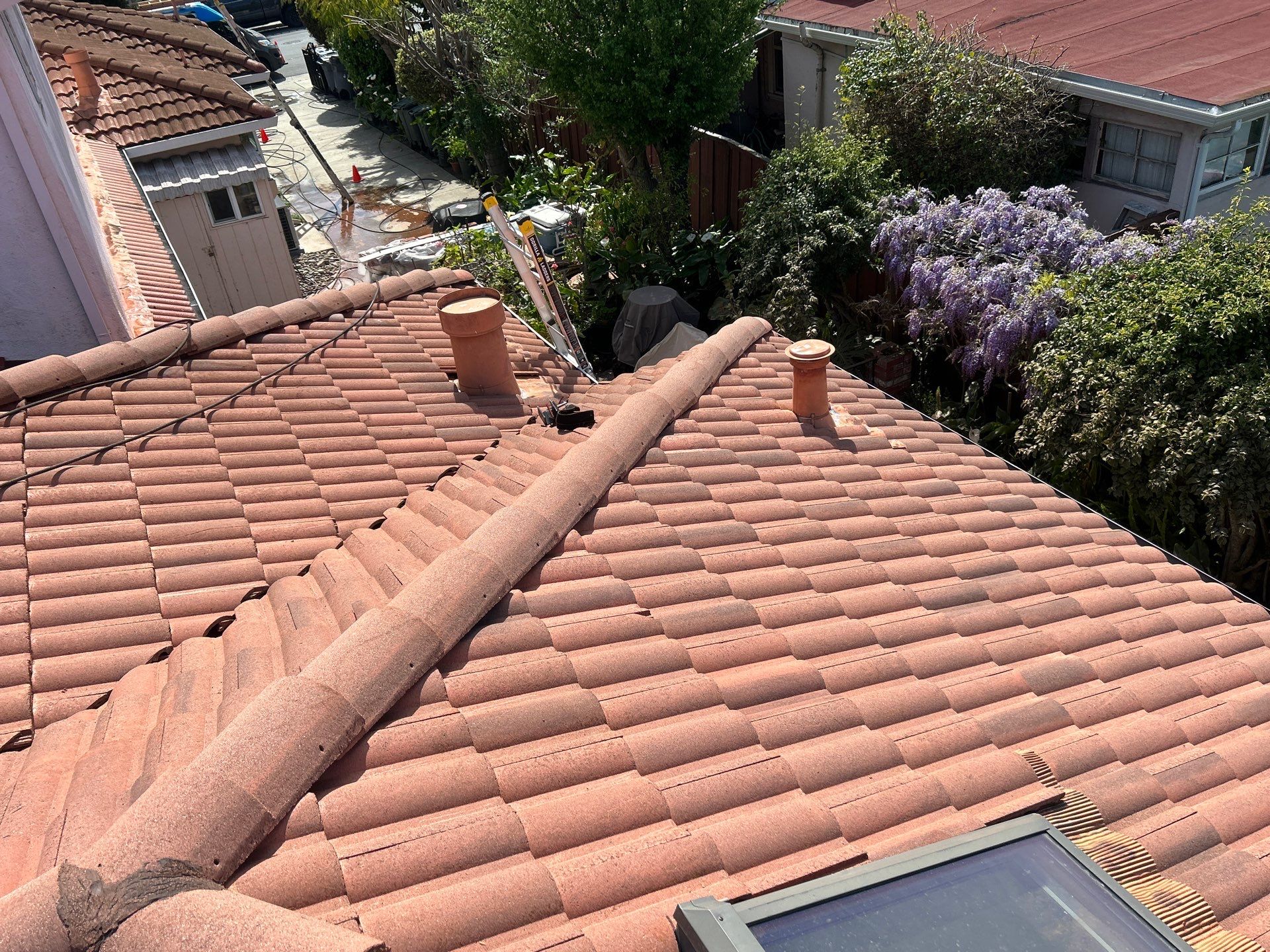 Roof Cleaning-Insurance Renewal by All One Solar Shine