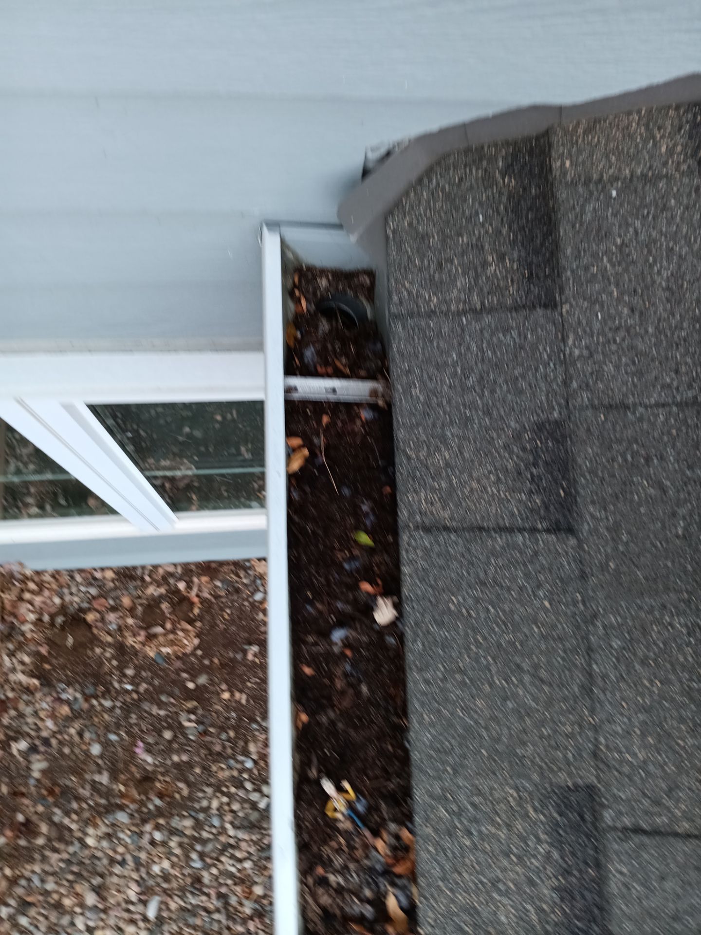 Commercial gutter cleaning Georgia before photo with filled gutters