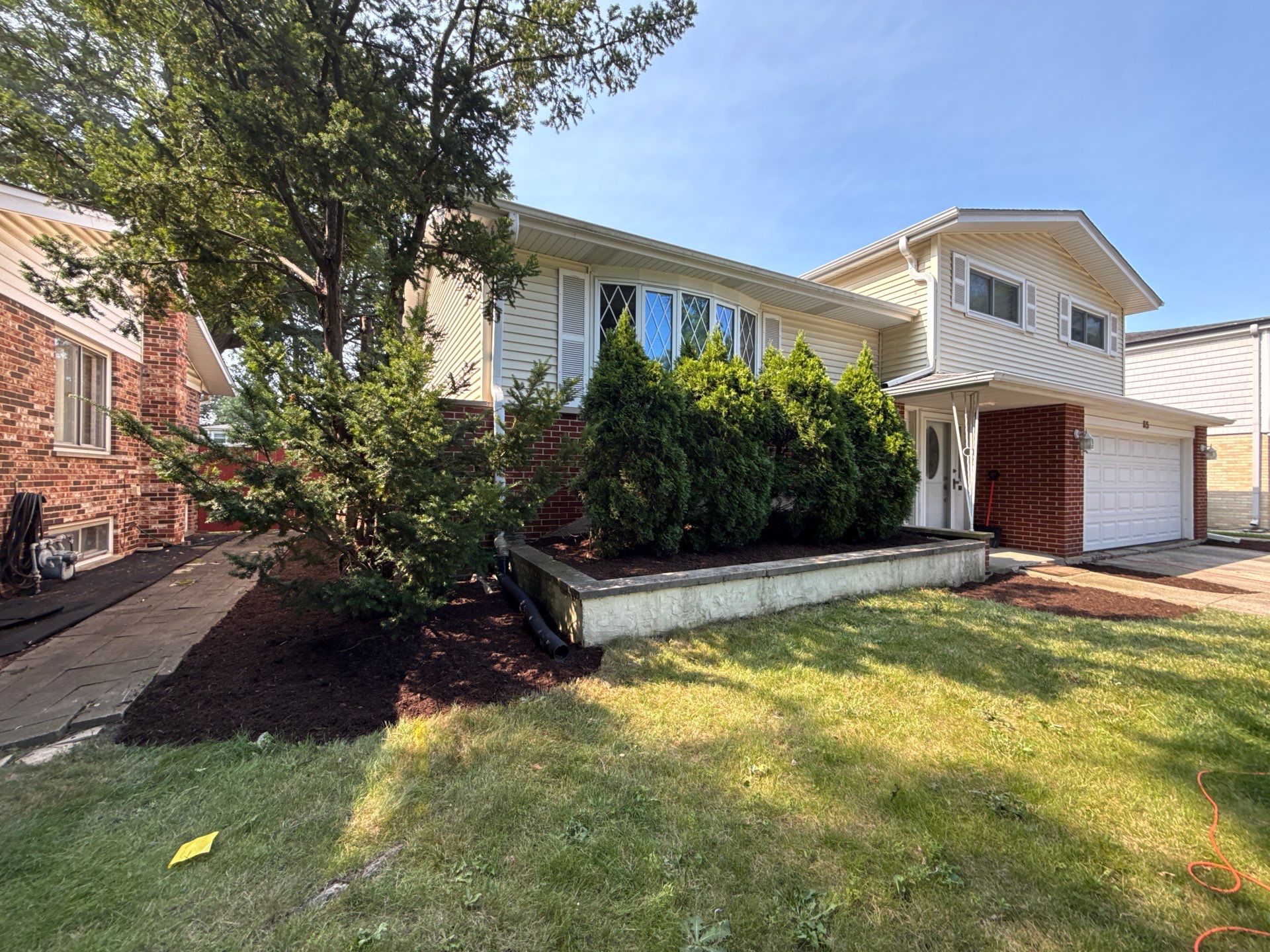 Joanna Z. - Des Plaines, IL by A&N 