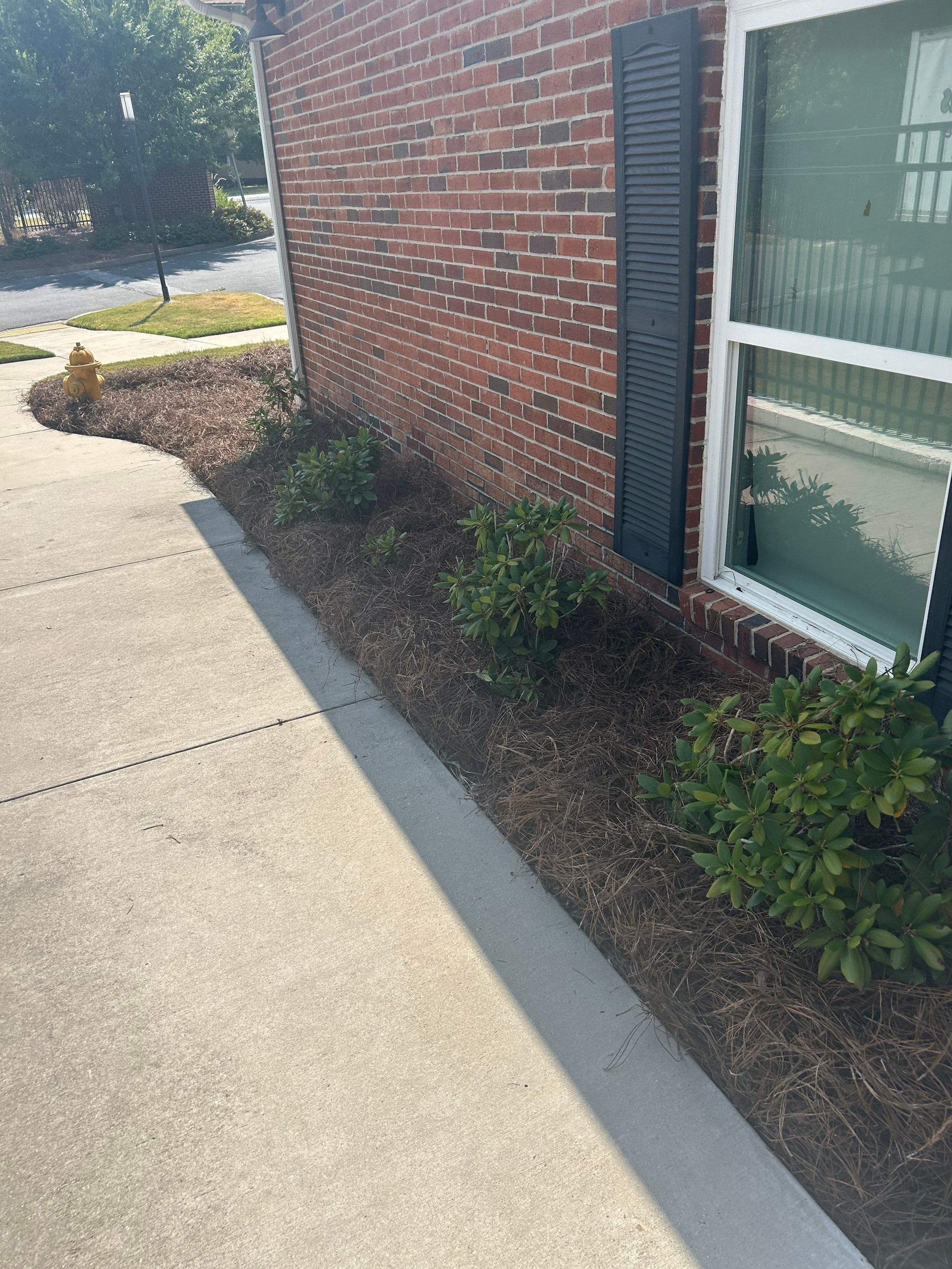 Project in Dalton, GA by Green Impressions 