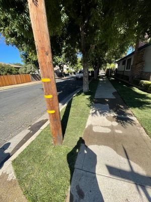 Project in Stockton