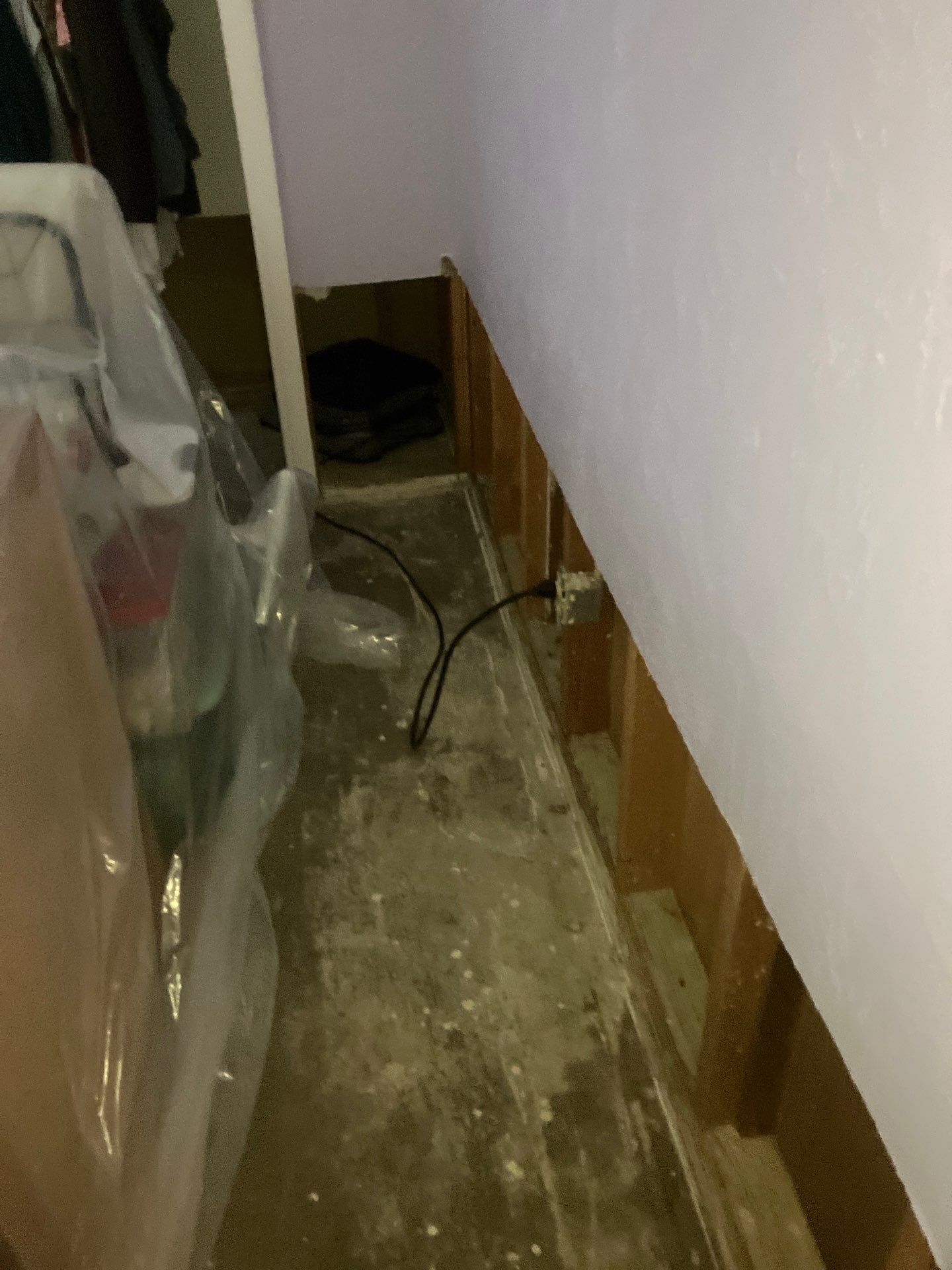 St. Pete Water Damage Mitigation by Ampm Restoration Services