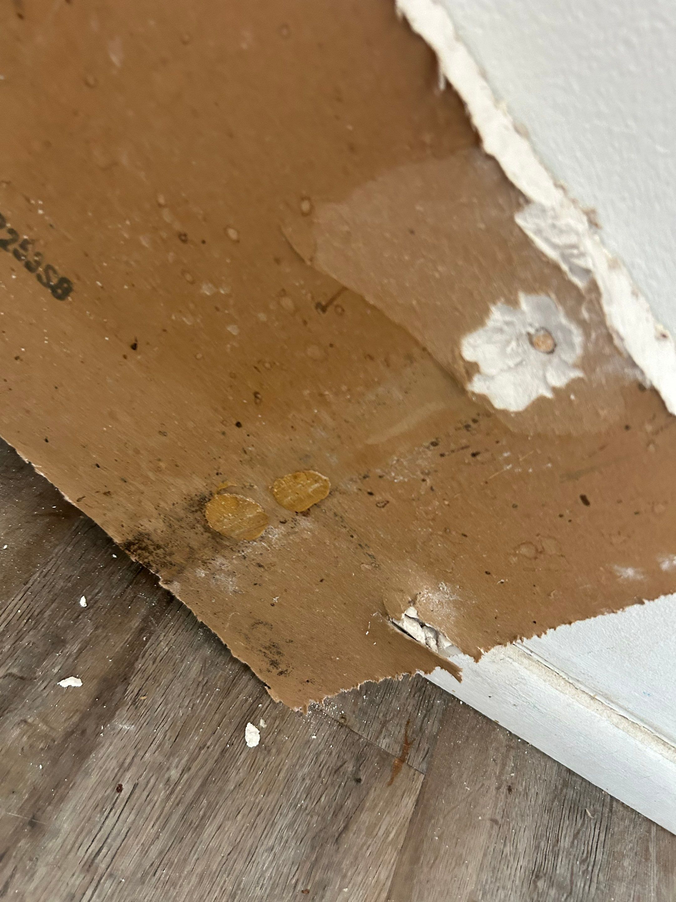 Project in Ocala by You Restorations LLC DBA YOU-Home