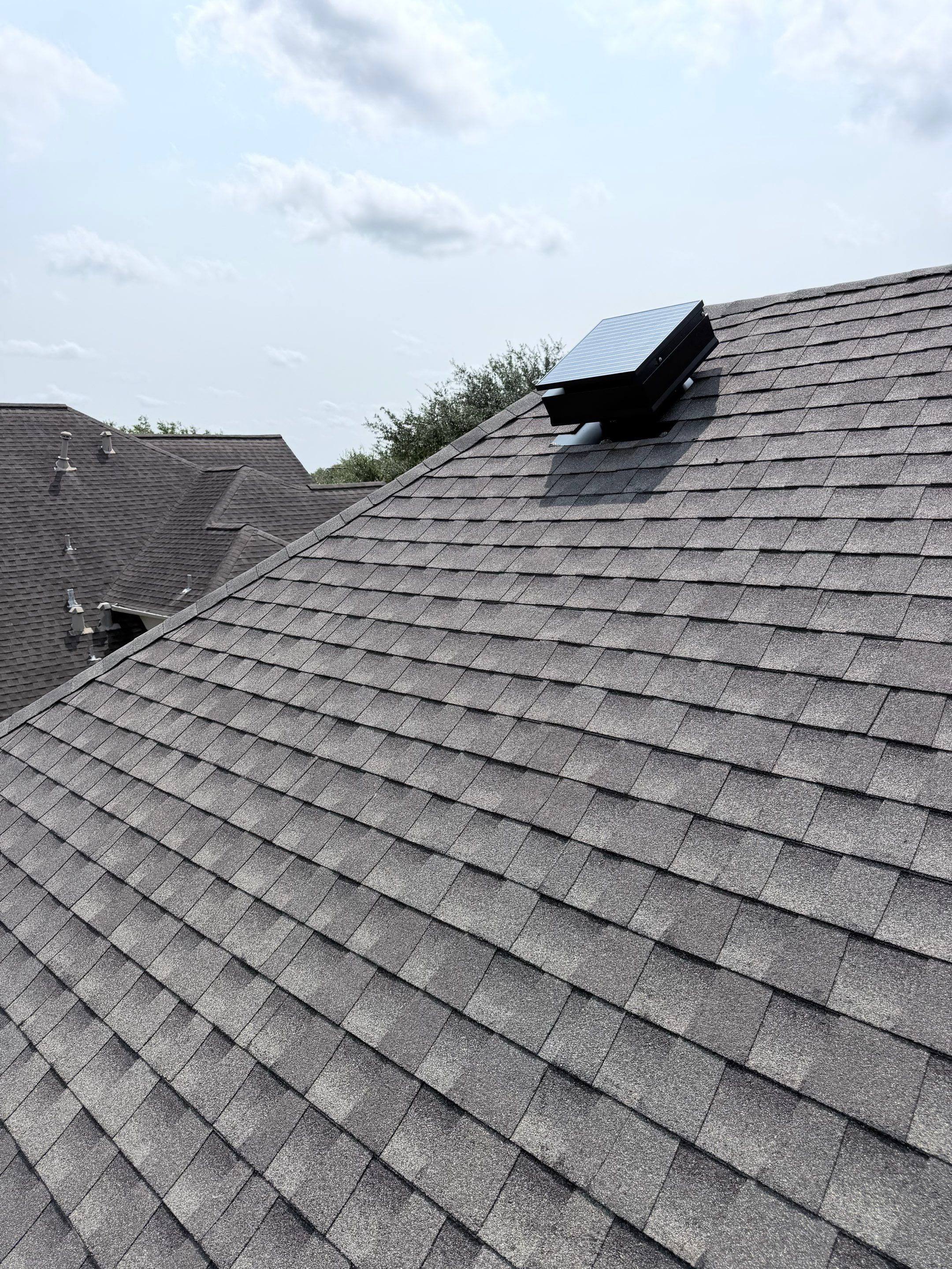 Toni S by Boss Hogg Roofing