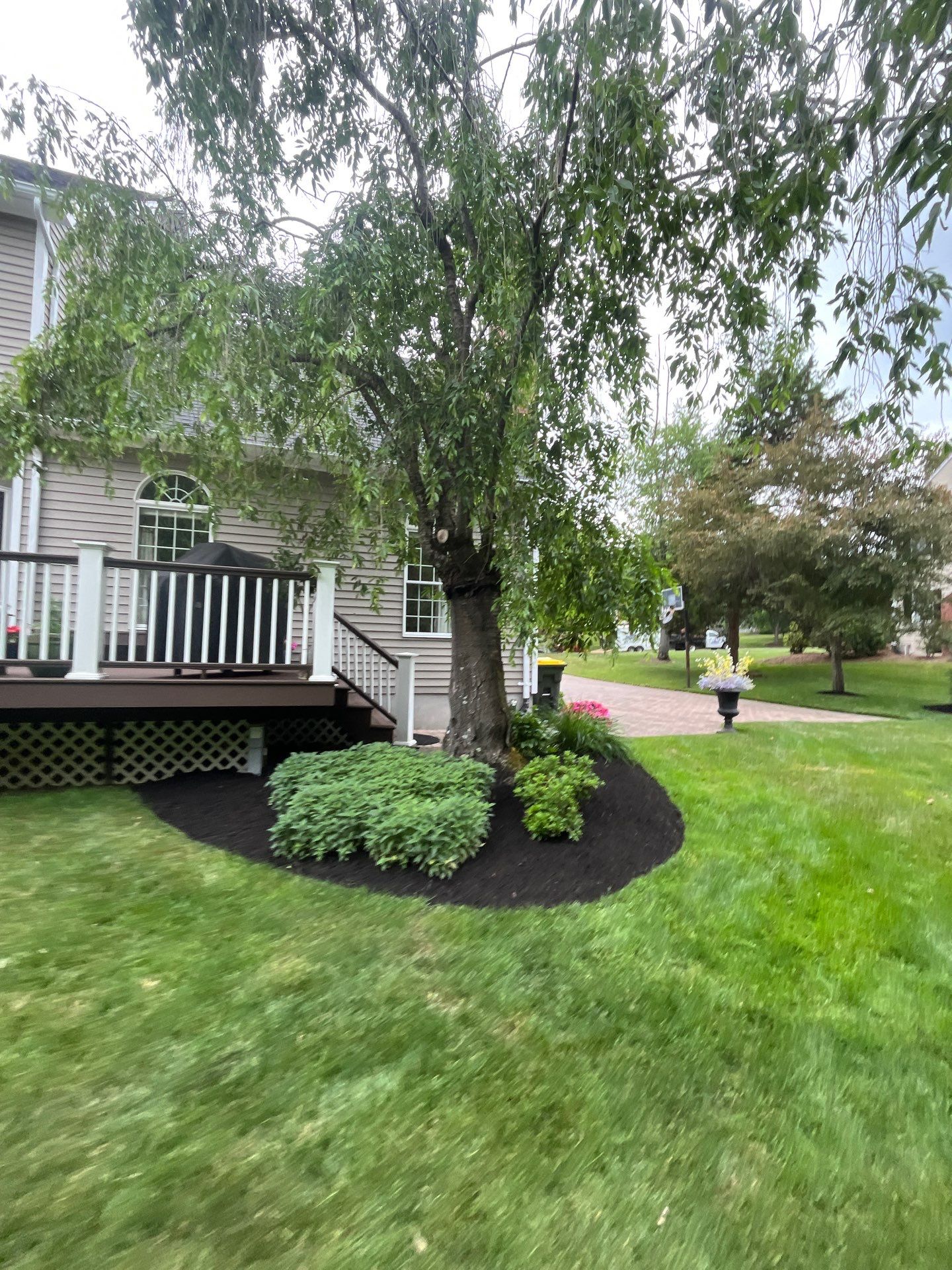 Comprehensive Shrub and Ornamental Bed Maintenance in Basking Ridge by Ants Plants