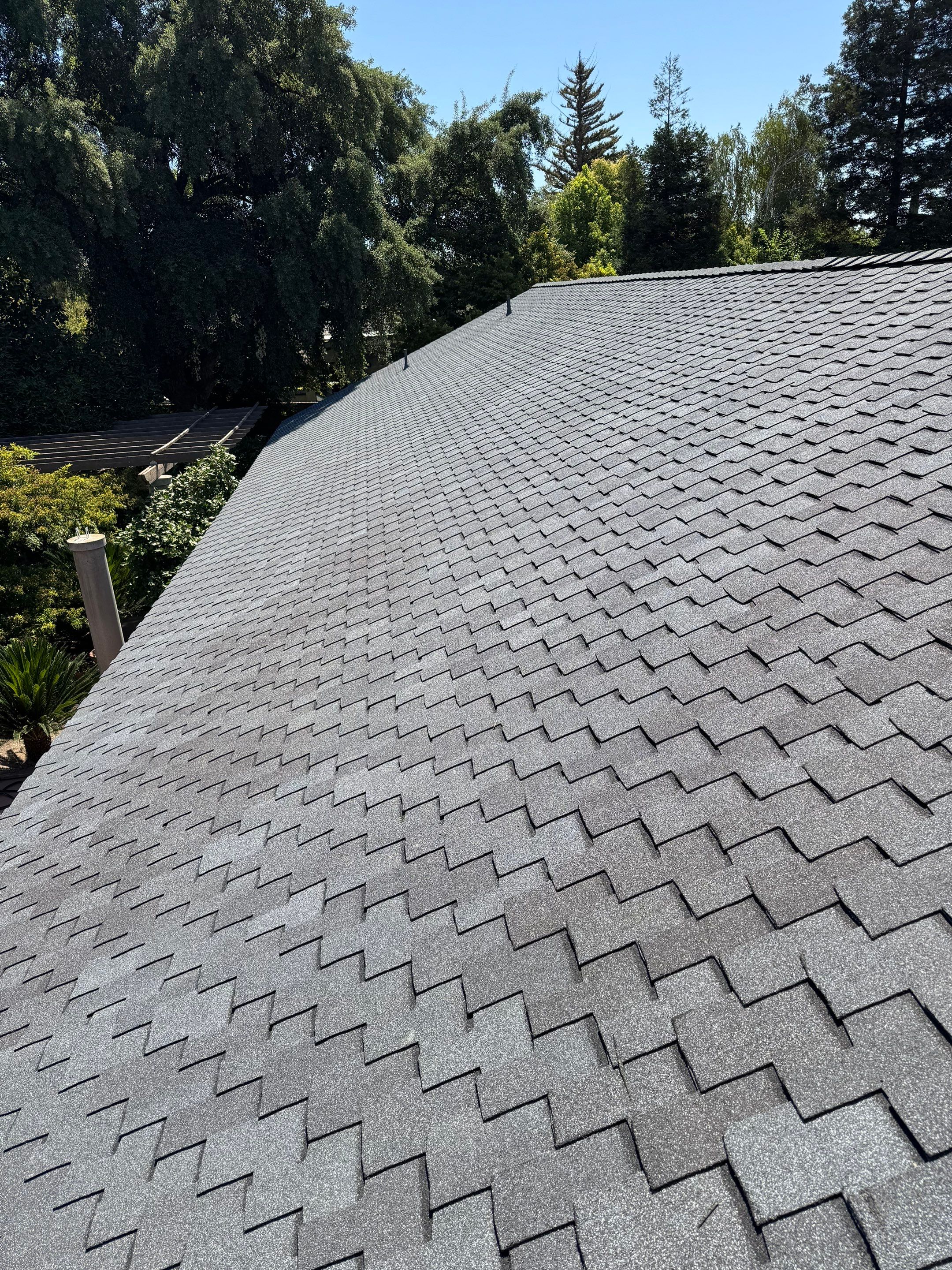 Presidential shingle roof by Straight Edge Roofing Inc