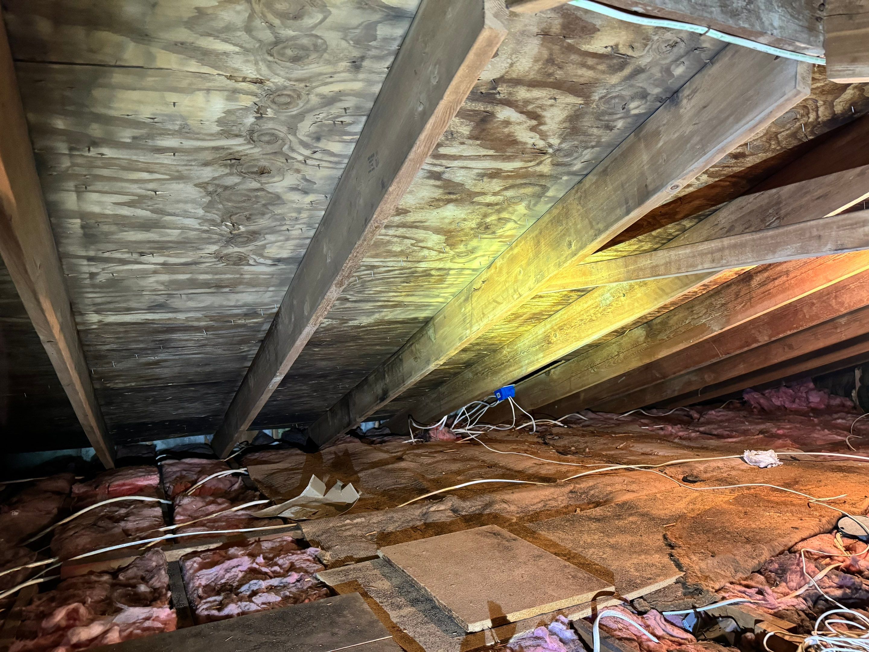 Attic Mold Remediation by Home Guarantee, LLC