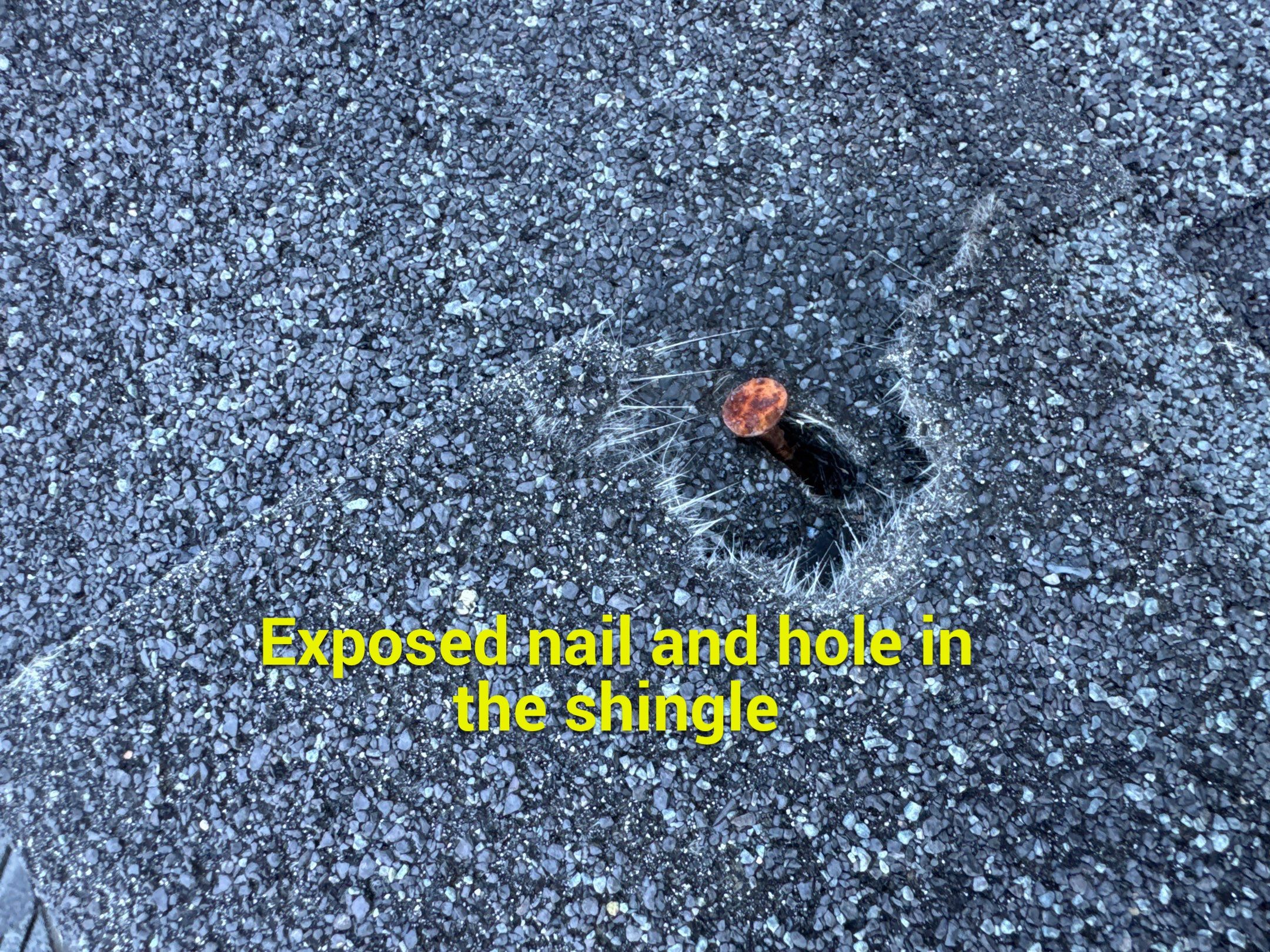 Chyleen Feagin by Tru-Built Roofing