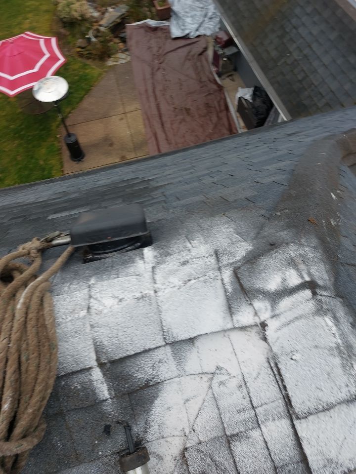 Roof Cleaning  using Moss Treatment  by BEST Roofing & Waterproofing