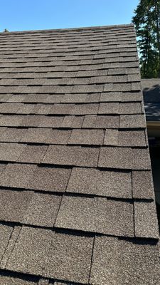 Turtle Shell gutter protection installation in Elgin, IL 60120, photograph 15