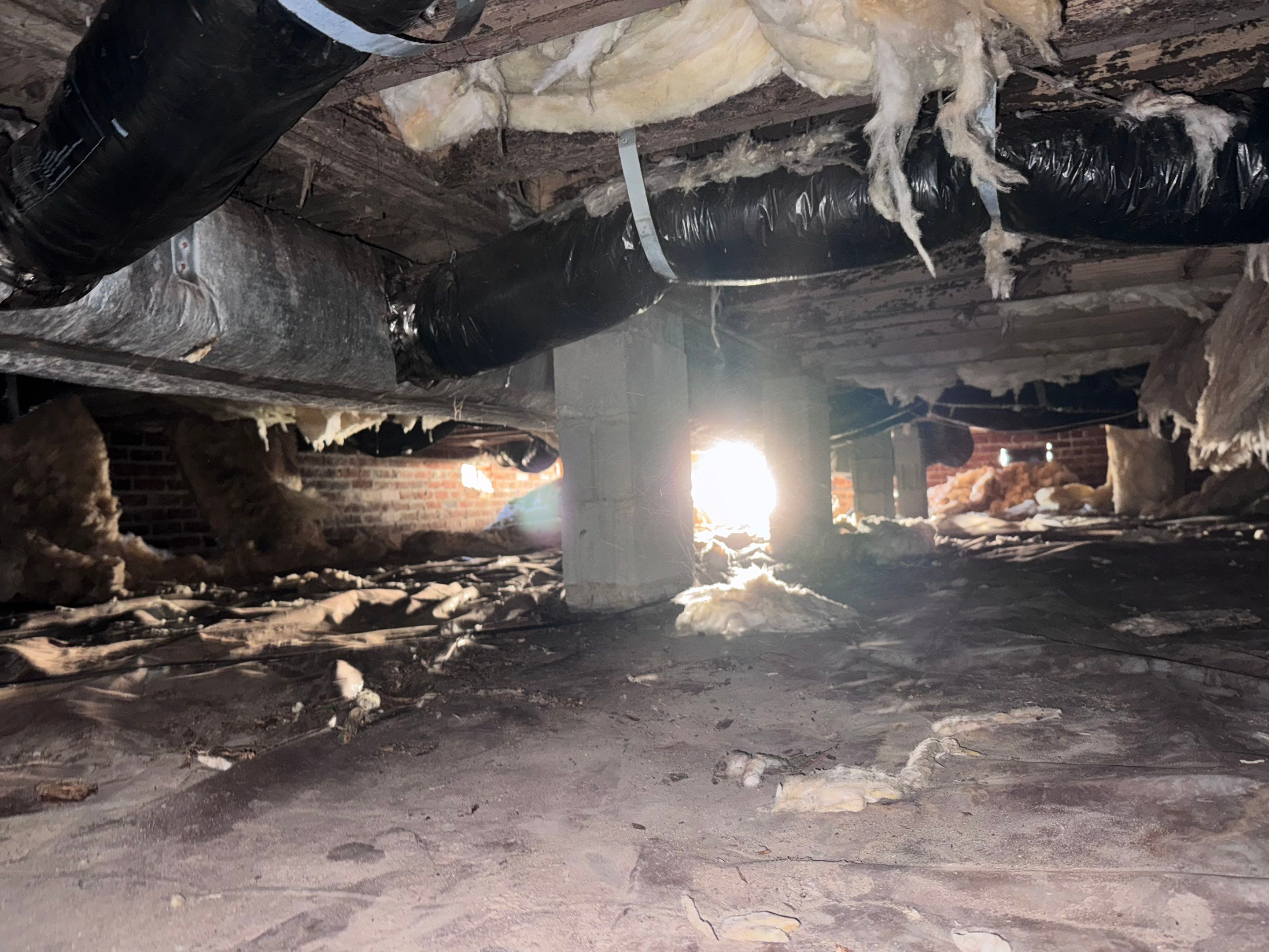 Structural Repairs inludiing sub-floor removal, new floor joists installed, girder replacmeent and dropped girder installed. by Impact Crawlspace
