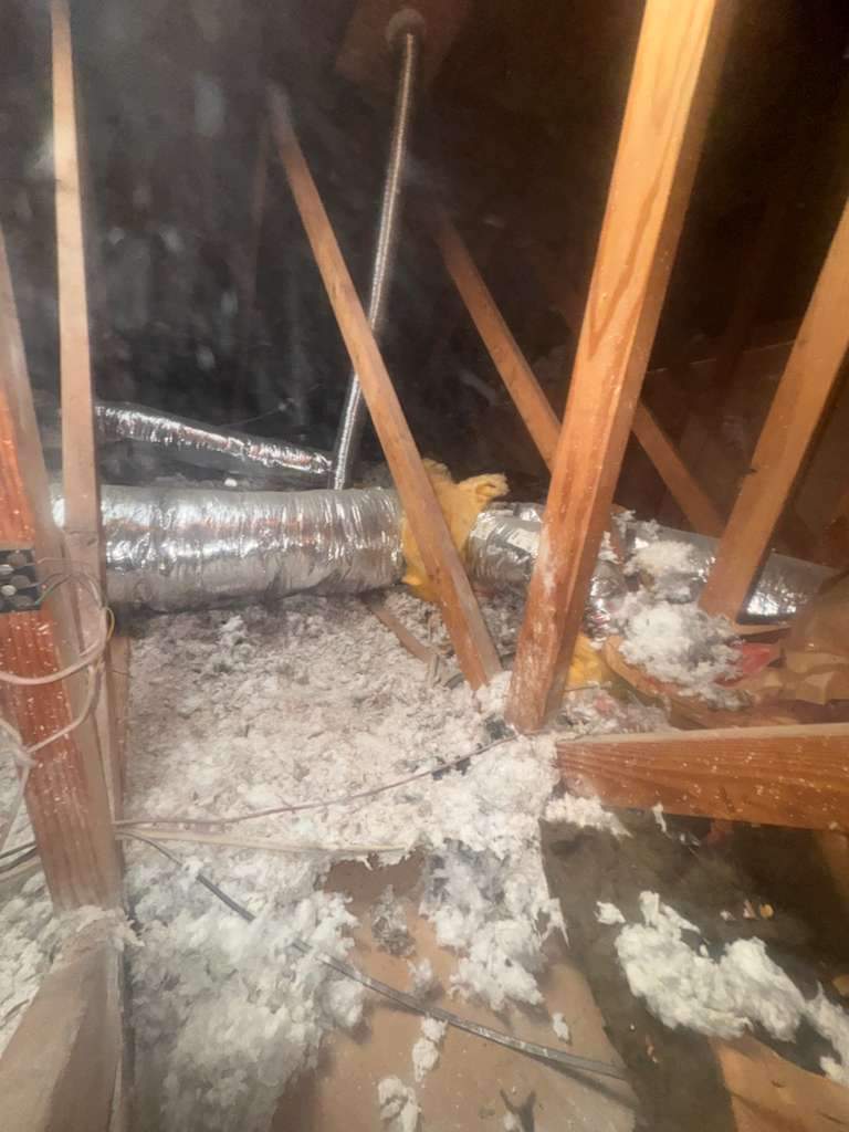 Project in Newport Beach by Advanced Attic Solutions