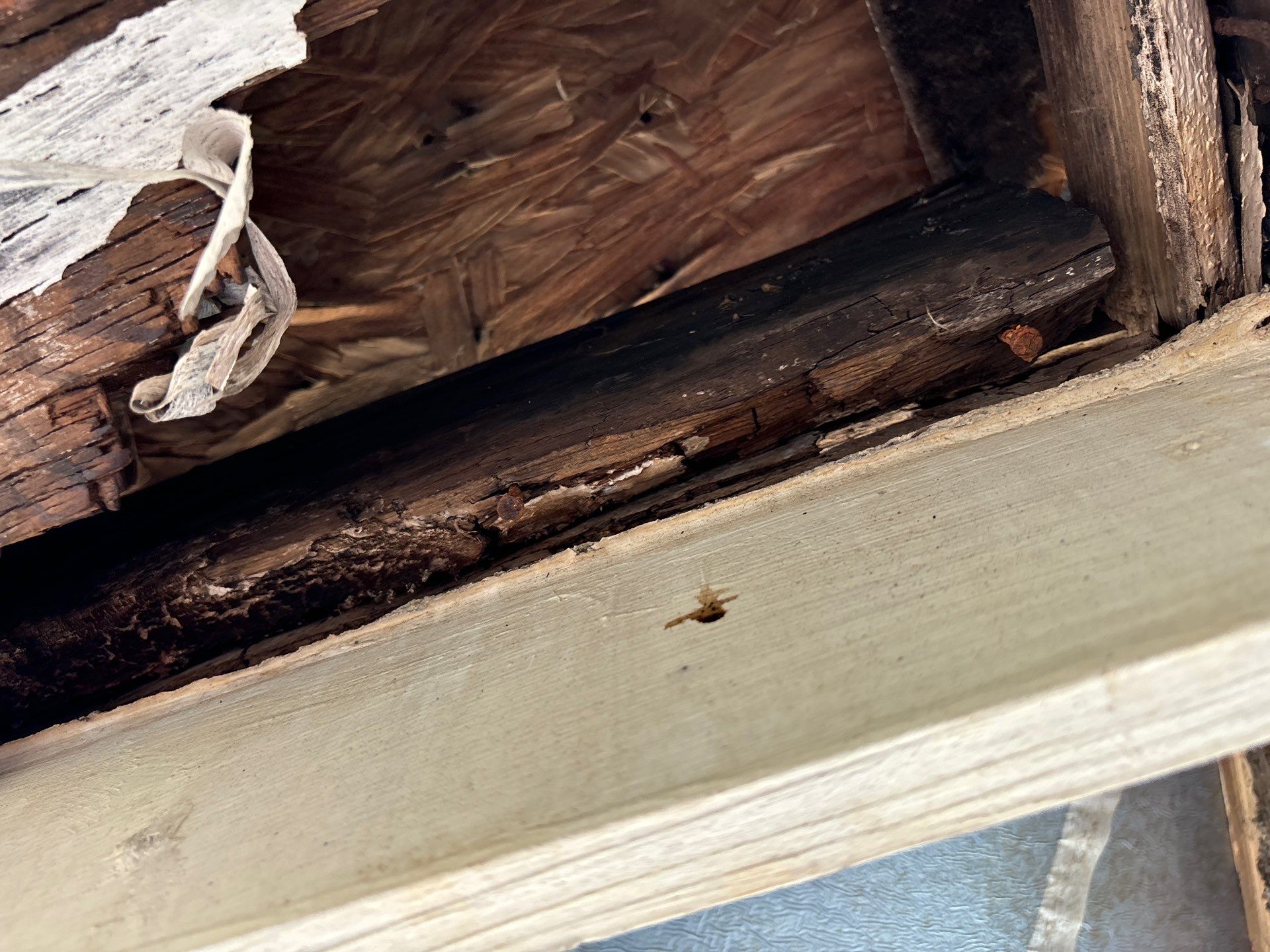 Residential Roofing Repair using Owen's Corning Duration (Lifetime) Shingles by Roof Repair Services LLC