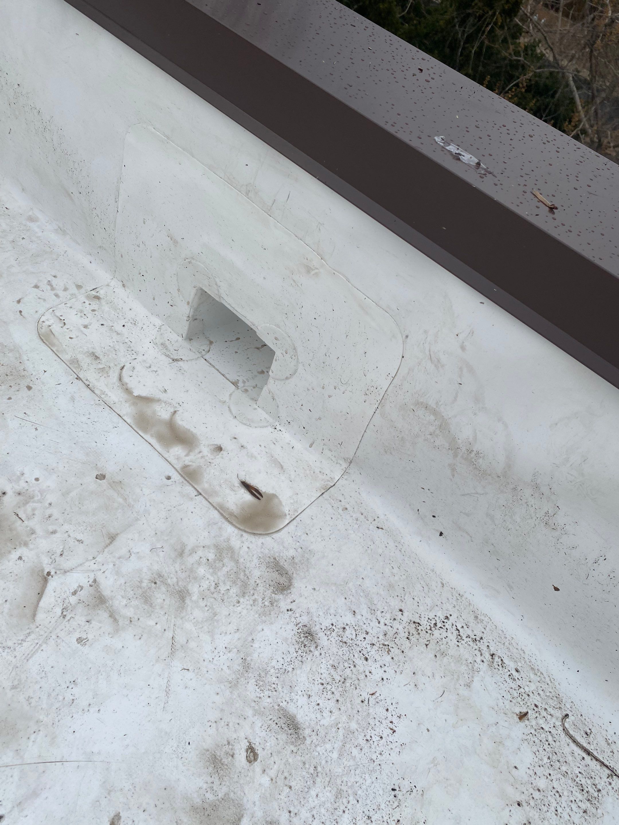 Arlington Flat TPO Roof Installation by RM Banning, Inc.