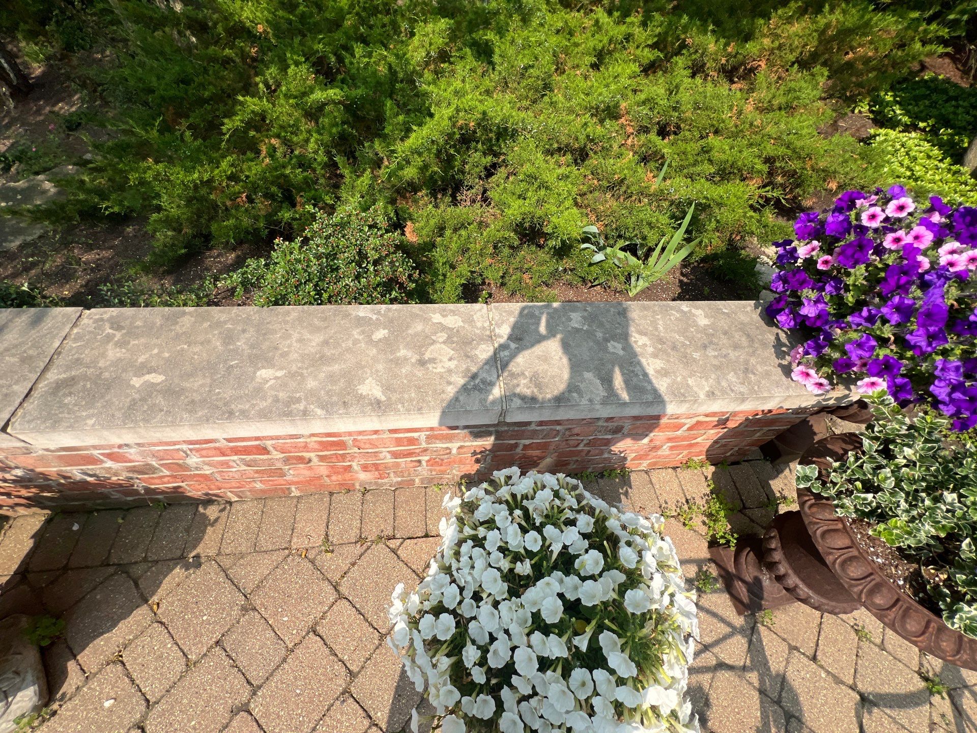 Brick paver cleaning sanding and sealing by Northern Power Washing LLC.