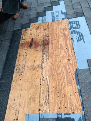 Roof Repair Spring