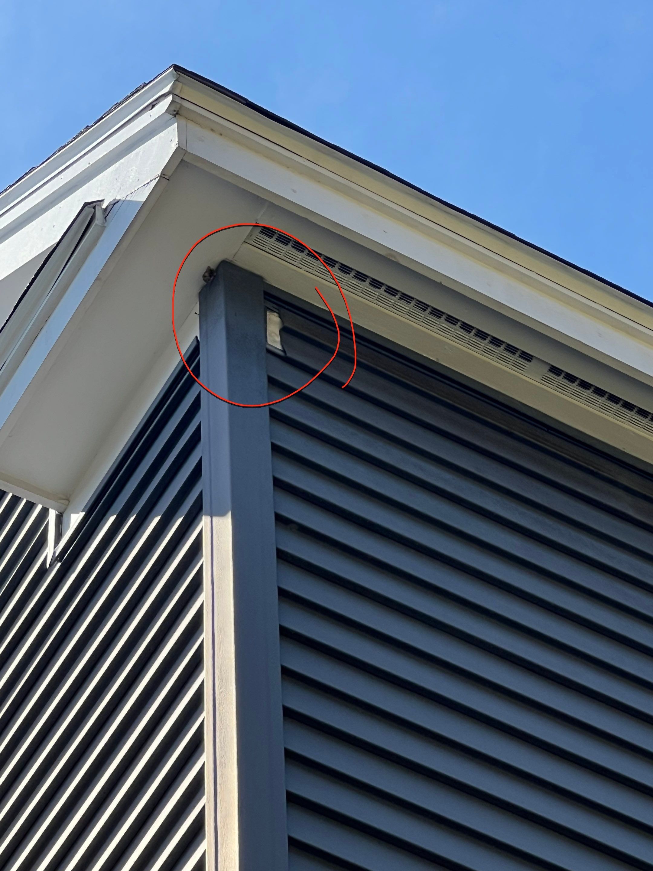 Siding | Tewksbury by Mighty Dog Roofing of Greater Middlesex County