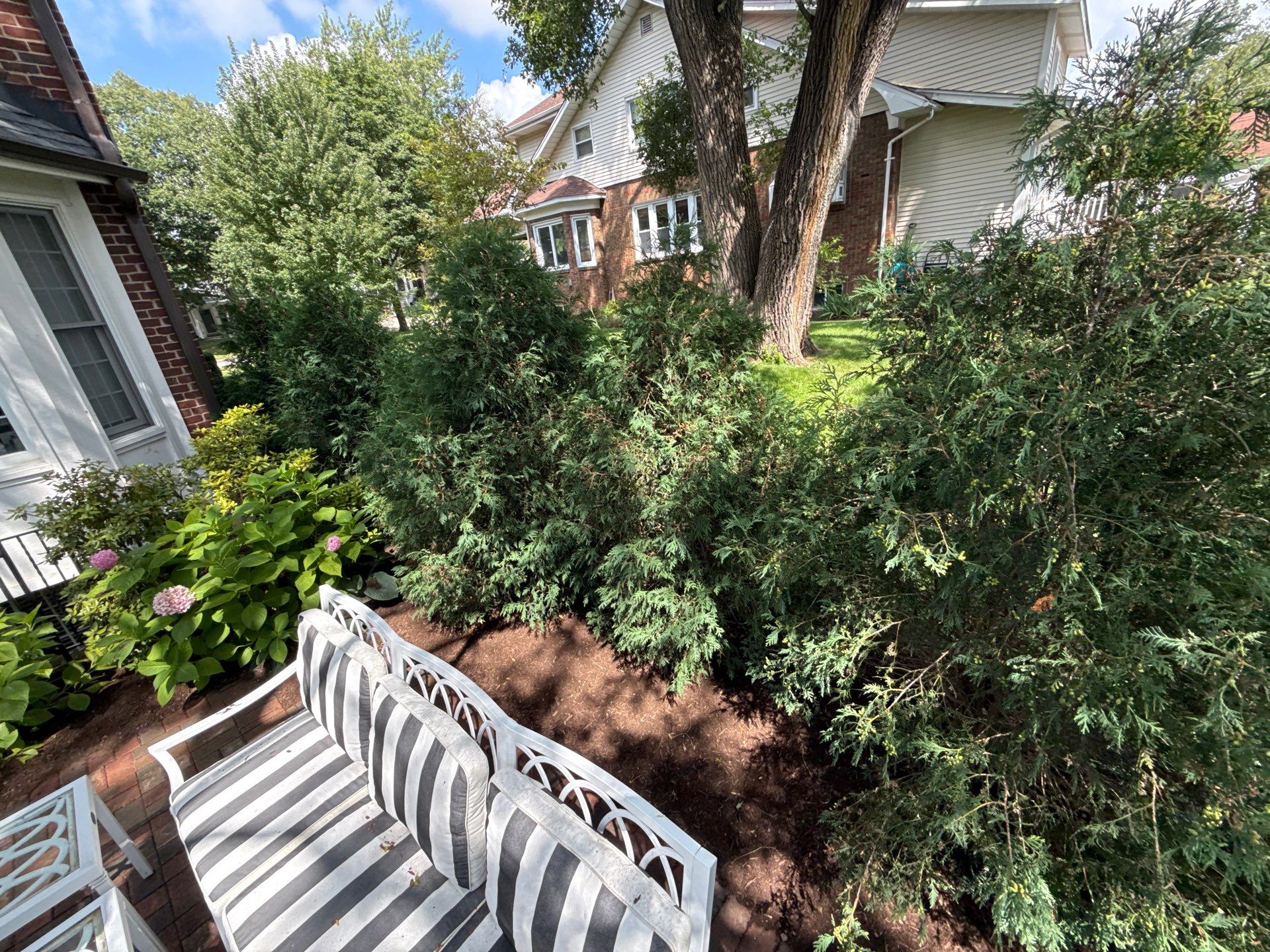 Jason G. - Arlington Heights, IL by A&N