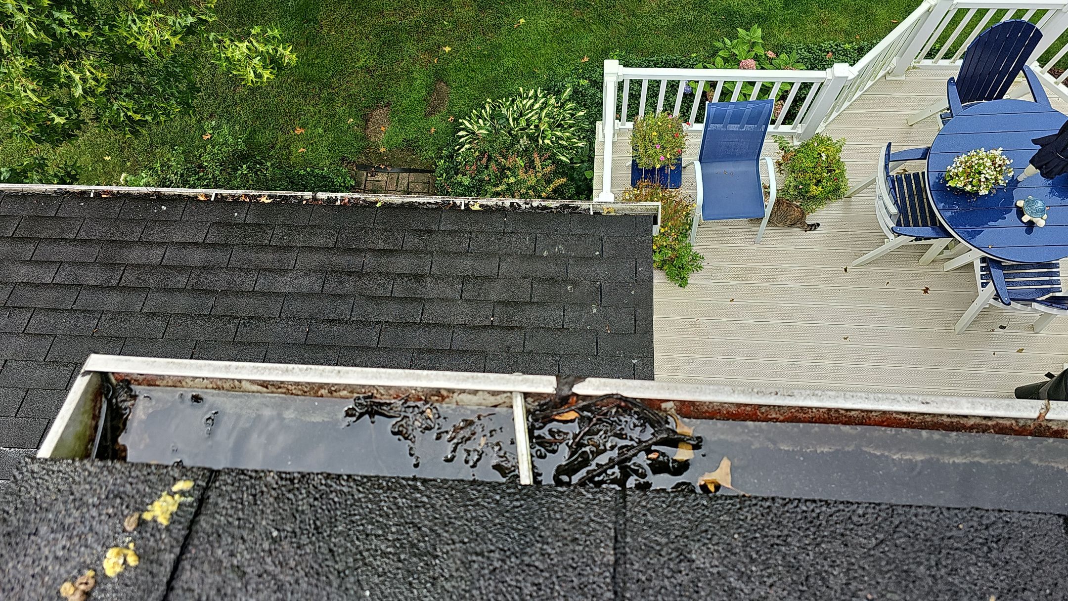 ATLAS PINNACLE COLOR: HEARTHSTONE, DRIP EDGE: BLACK by Eagle Eye Roofing
