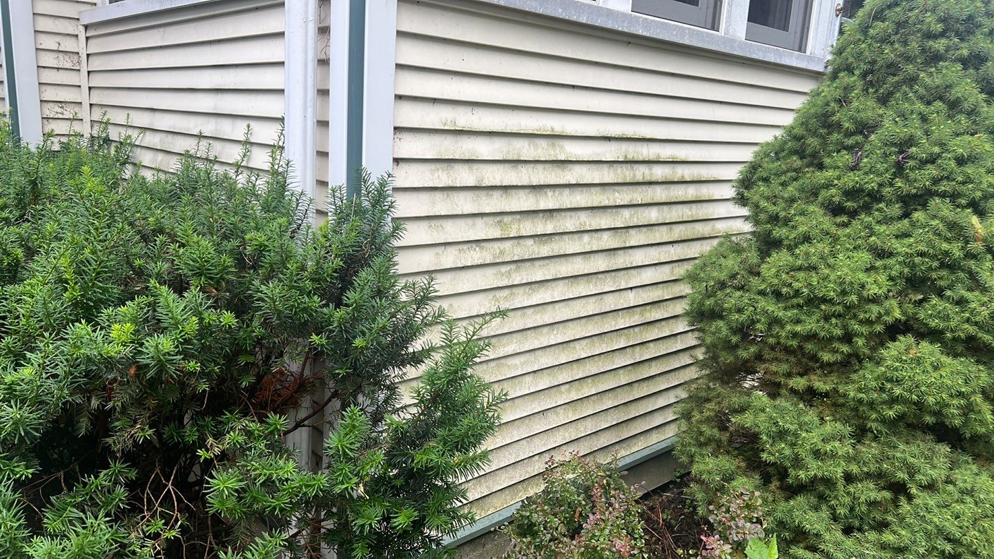 Housewashing  using Algaecide, soft wash soap by Northern Power Washing LLC.