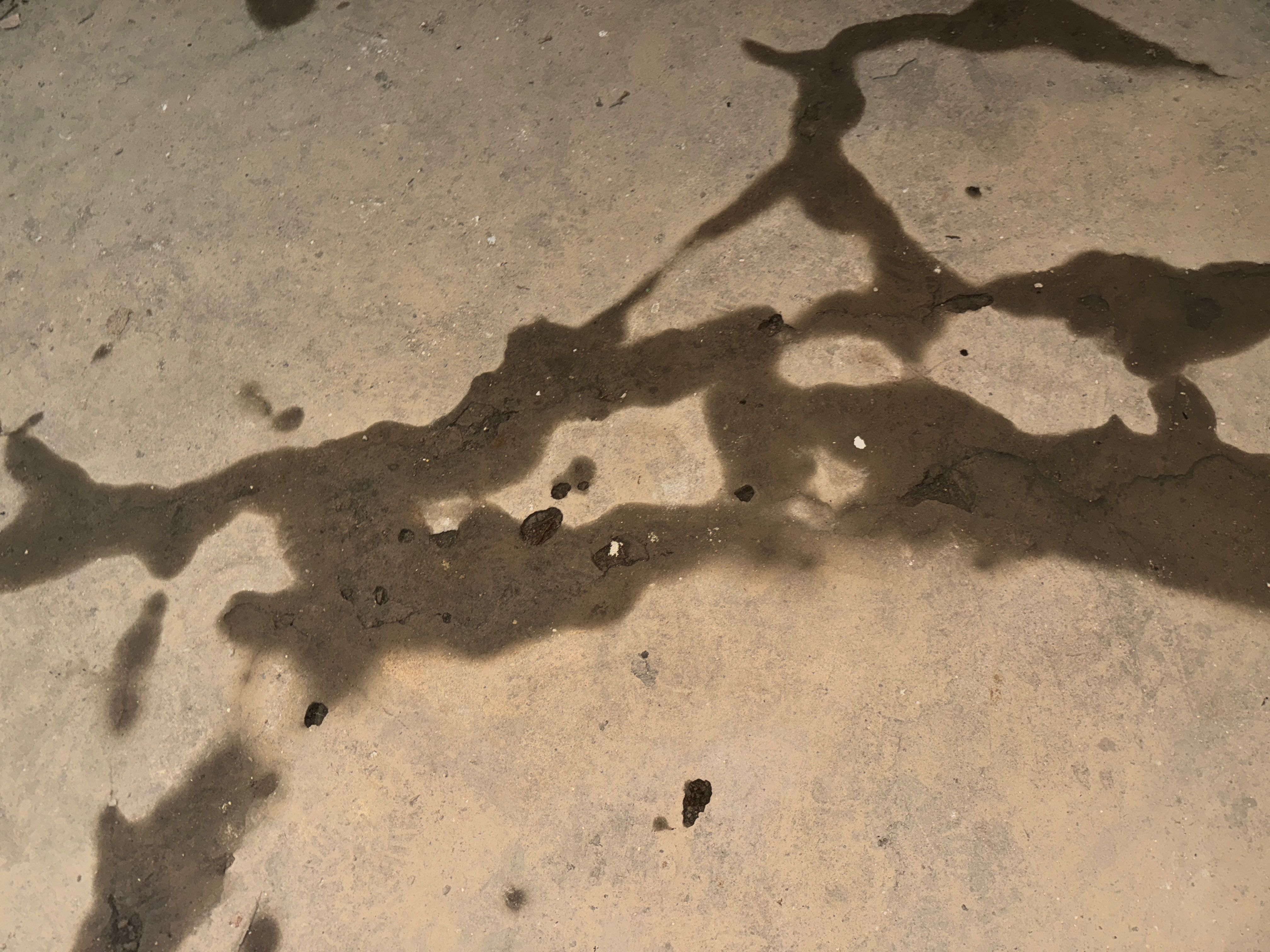 Interior French Drain & Wall Vapor Barrier in Newark, NJ  by Pure Service Pro, LLC 