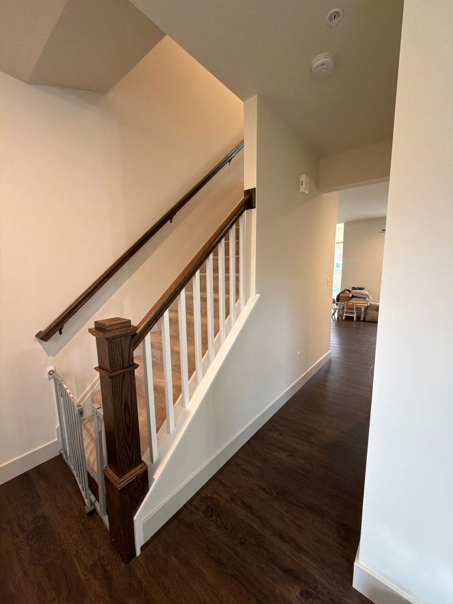 Whole-Home Interior Refresh in Malvern by Groovy Hues