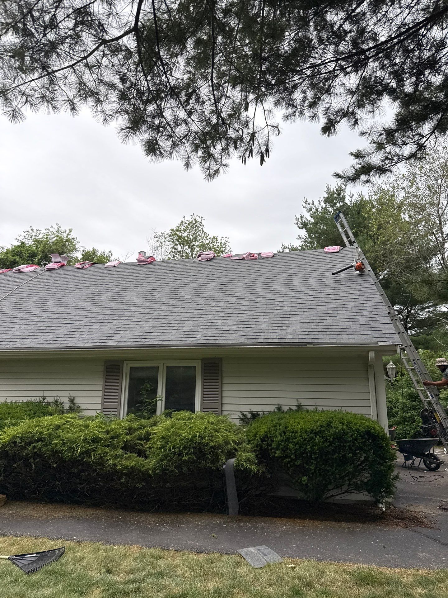 Asphalt Shingle Roof Replacement | Billerica, MA by Mighty Dog Roofing of Greater Middlesex County