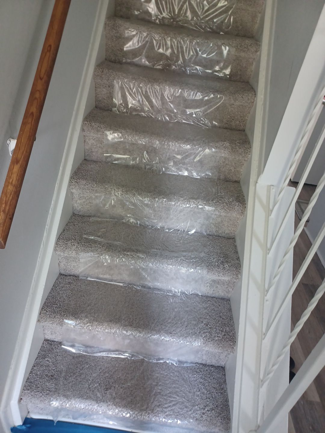 Project in Livonia by EzDry Water Mitigation & Property Restoration