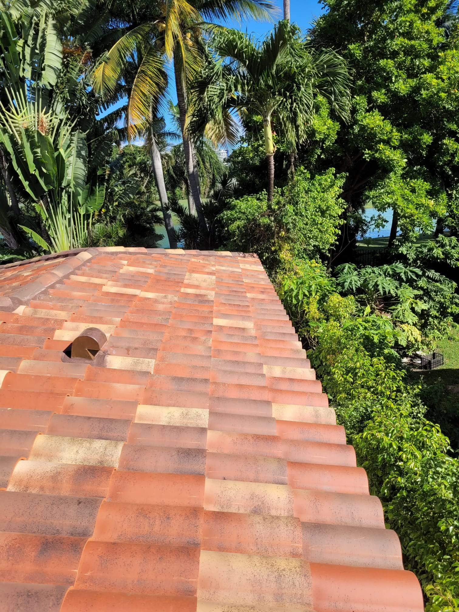 Verea - Spanish S - Jacobea by Istueta Roofing