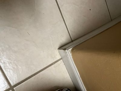 Interior Trim Painting and Garage Door Refinishing in Franklin