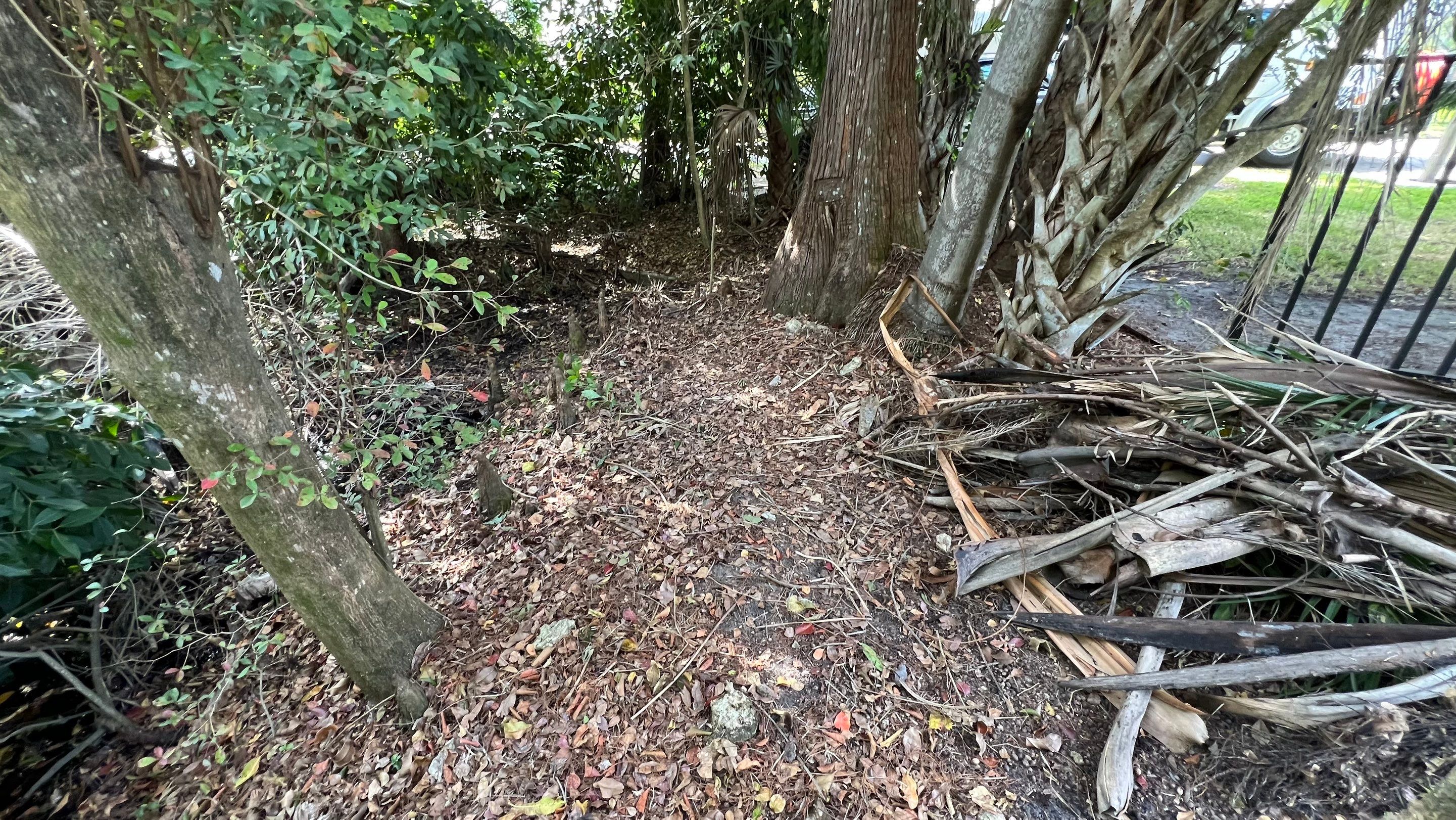 Naples Community Storm Water System Maintenance by APS Power & Water