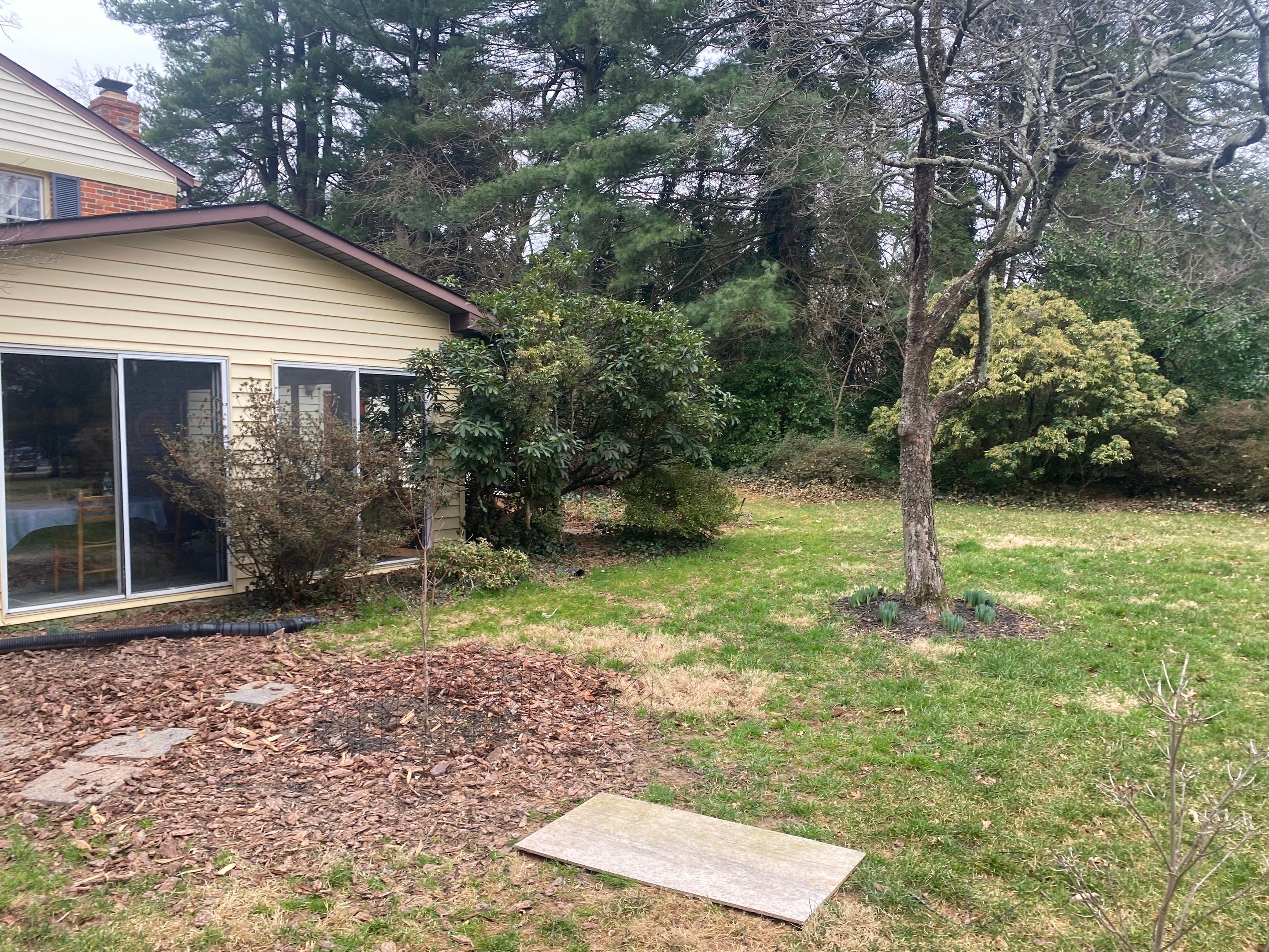 Landscape cleanup & drainage by The Smet Companies, LLC