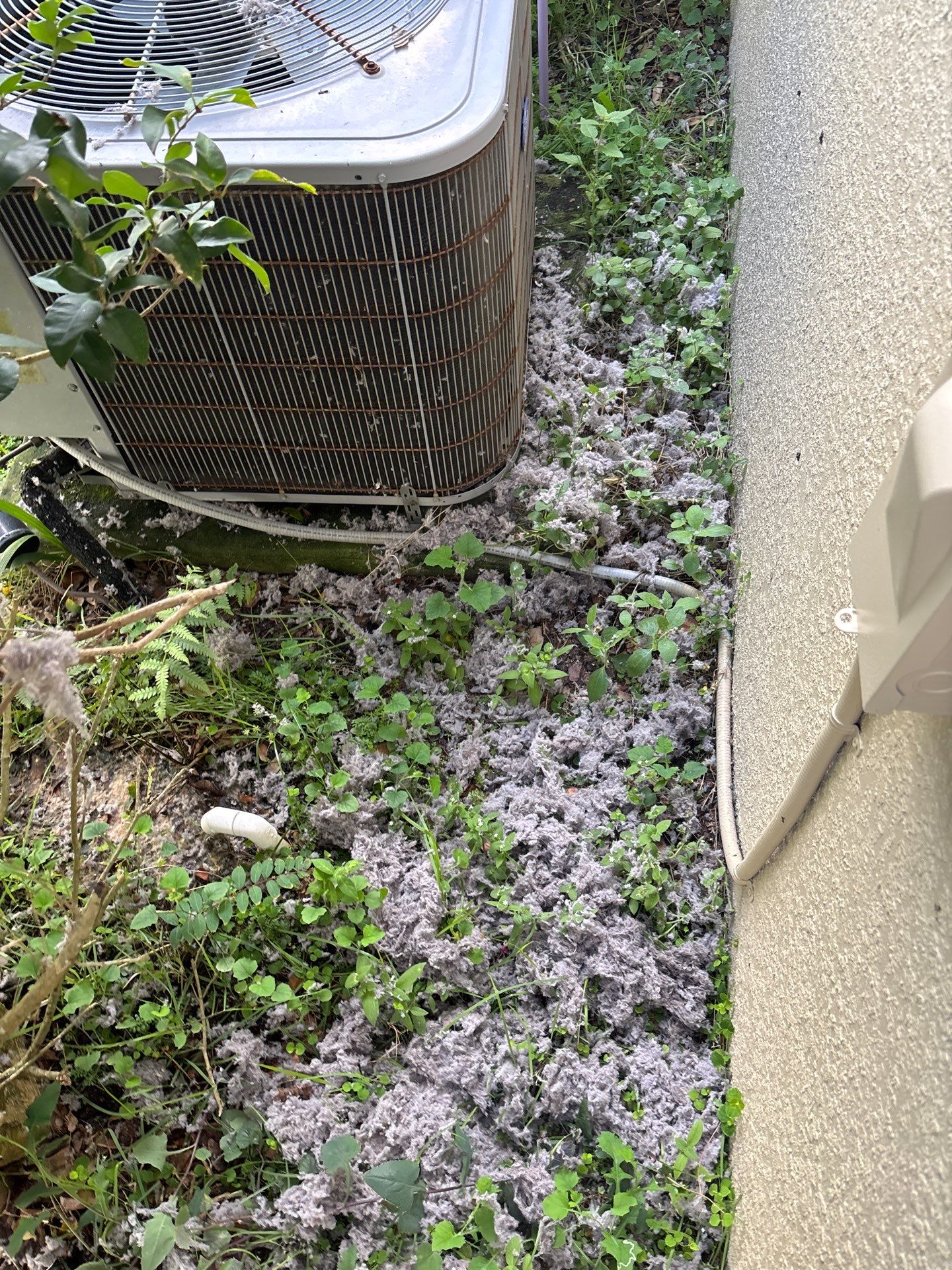 Air Duct Cleaning in Clermont by Hygienic Air, Inc
