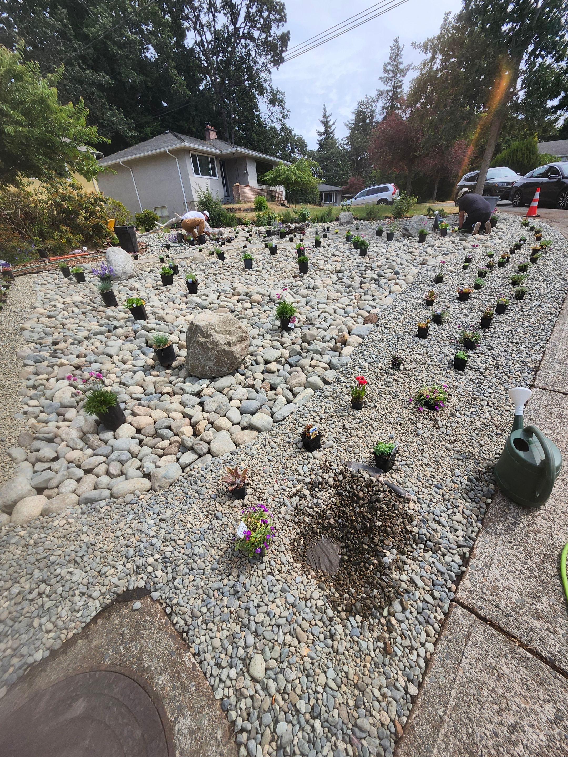 Front Yard Ecological Conversion – A West Coast-Inspired Low-Maintenance Oasis by Habanero Garden and Exterior Care