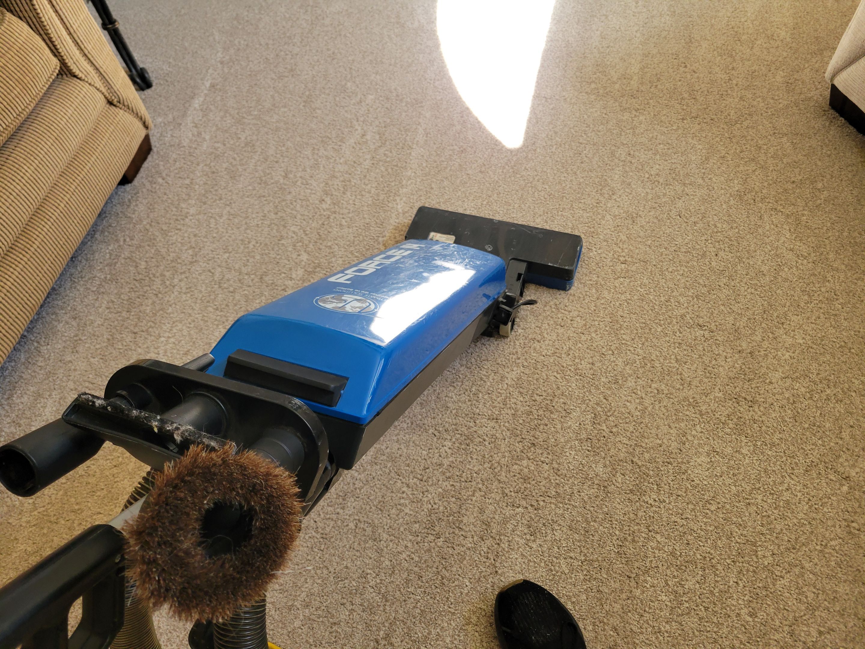 Carpet Cleaning of Grease Spots by Ardent Carpet Restore LLC