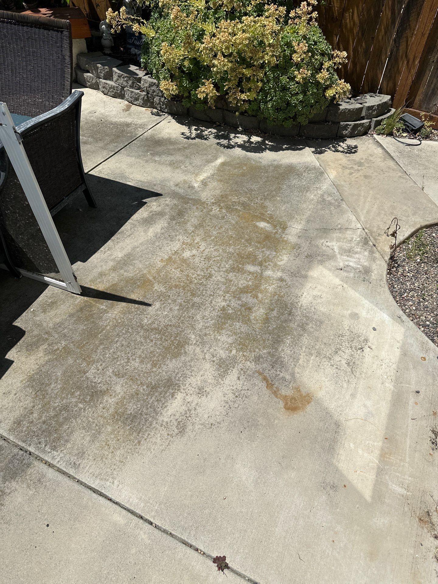 This home was COVERED in growth by Property Cleaning Experts, LLC