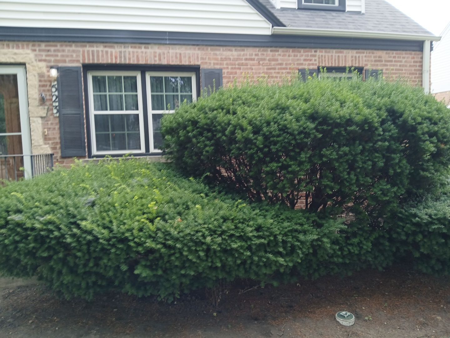 Catherine B. - Mount Prospect, IL by A&N