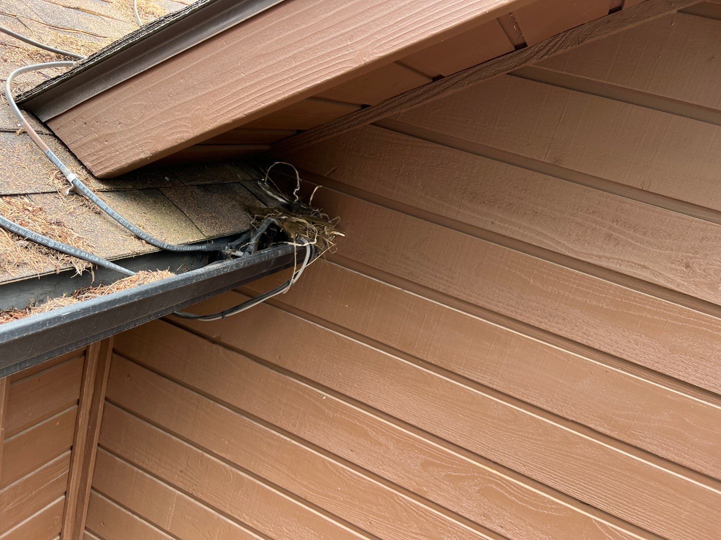 GAF Timberline HDZ - Hunter Green by Montana Roofing Solutions