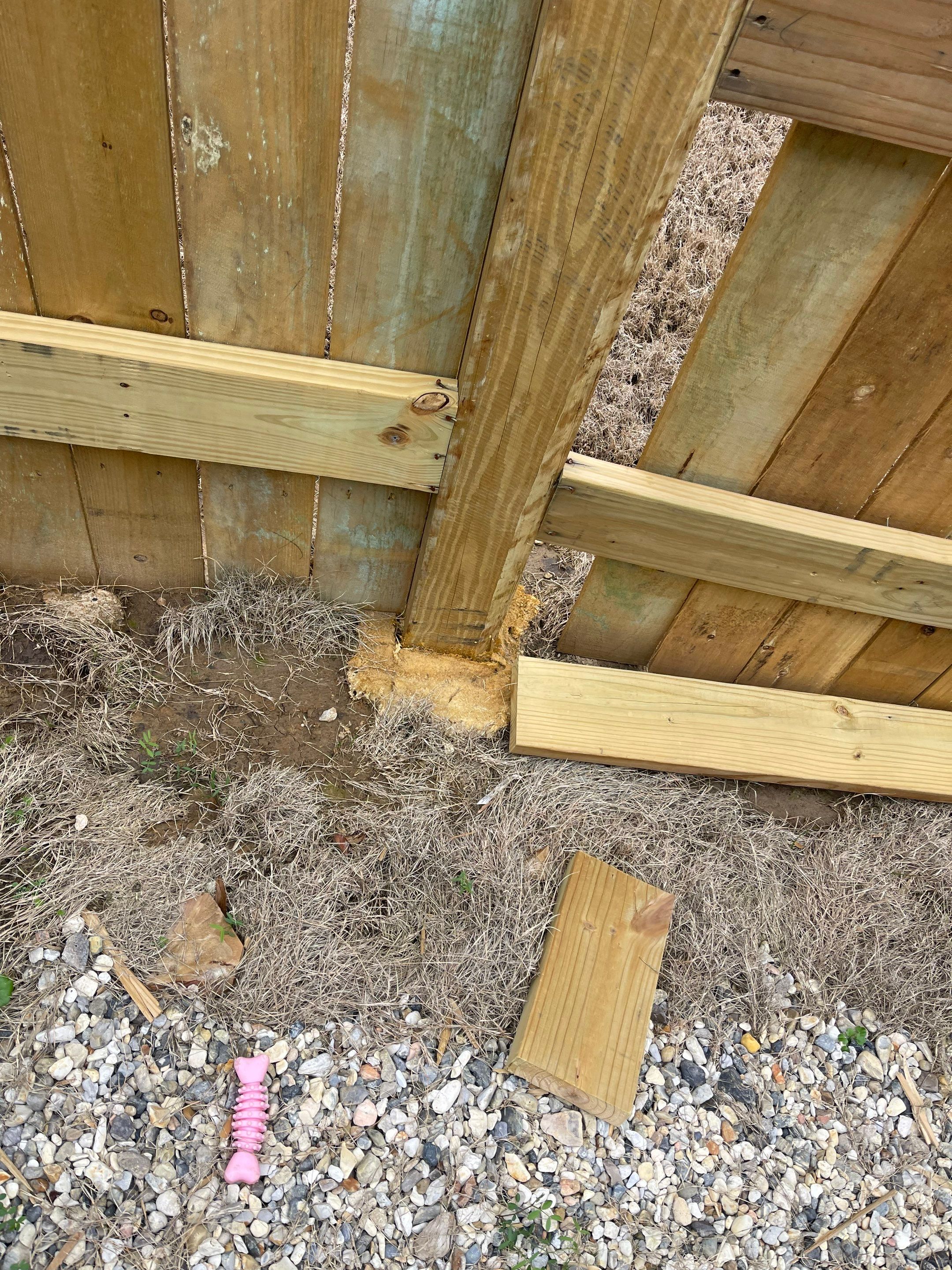 6' Treated Pine Good Neighbor 6x6 Posts by Roberson Construction LLC