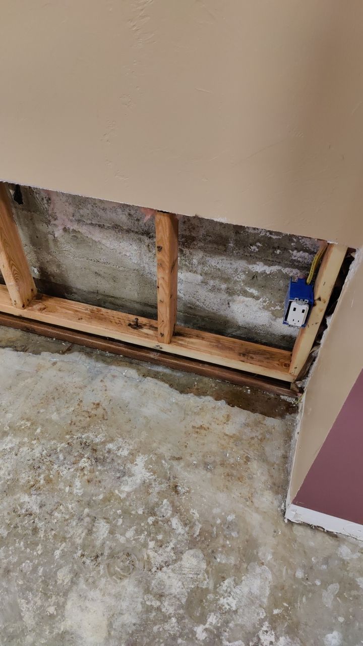 Water Damage and Mold Remediation by Accountable Home Services