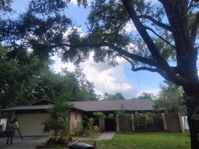 Project in Tampa 33617