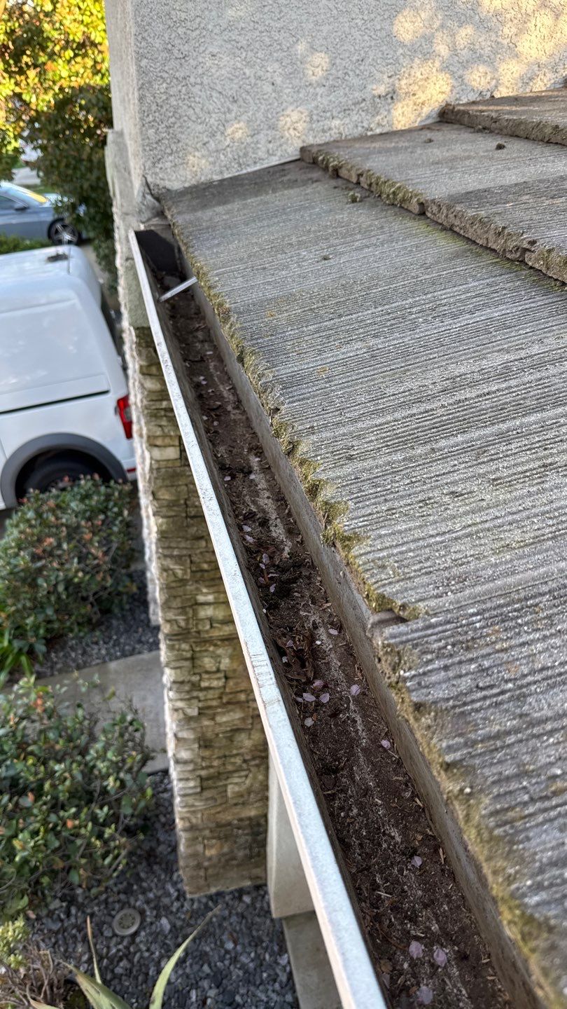 Project by NuLead Construction Inc by NuLead Construction Inc