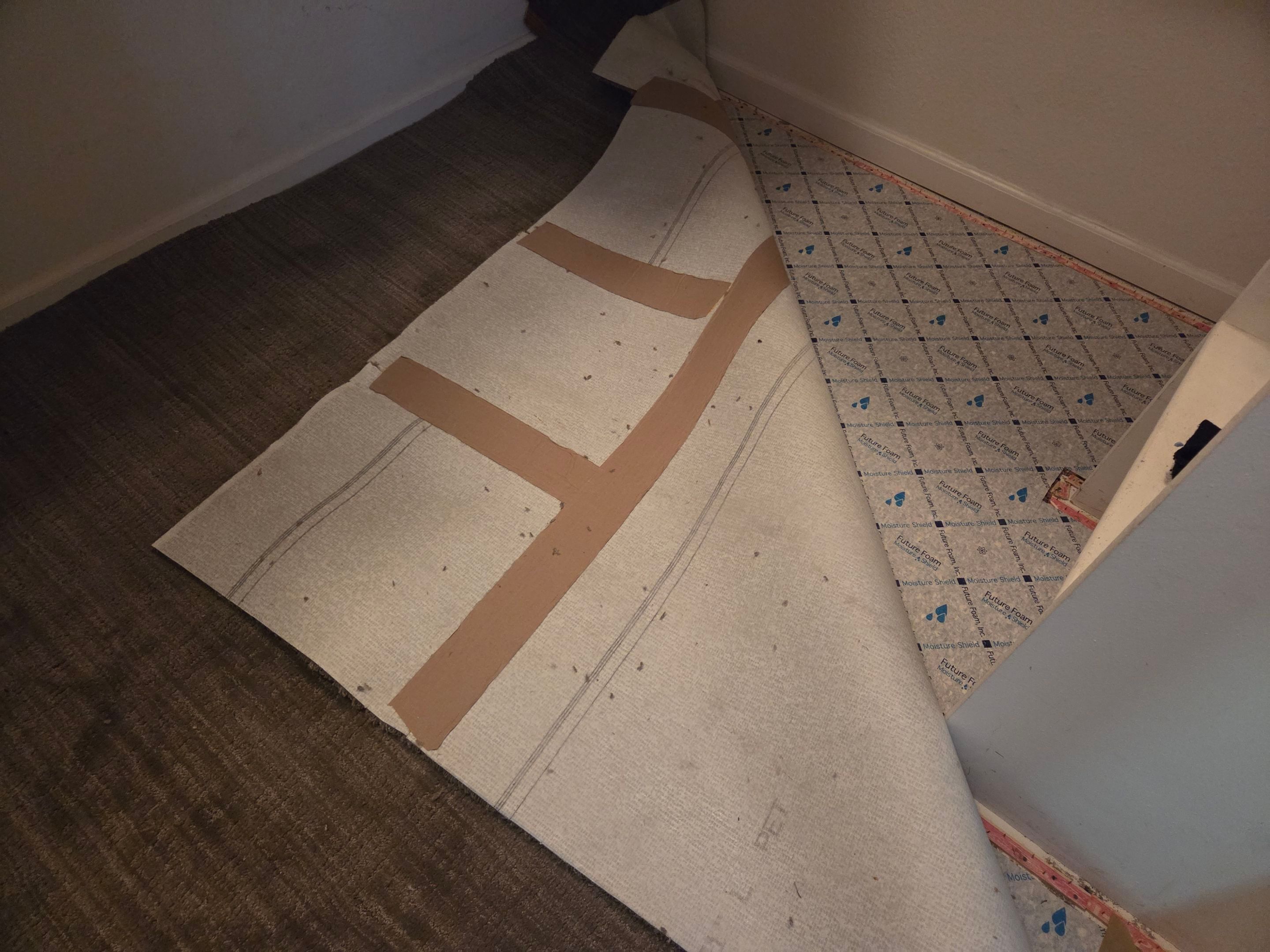 Small, Carpet Installation into a Closet by Ardent Carpet Restore LLC