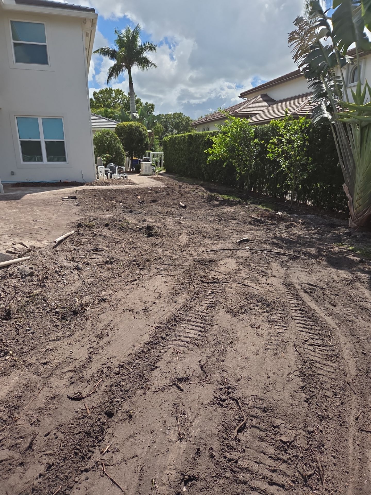 Hammock Creek Estate | Phase 1 – The Art of Precision Removal by Alpha Zeta Enterprises Inc