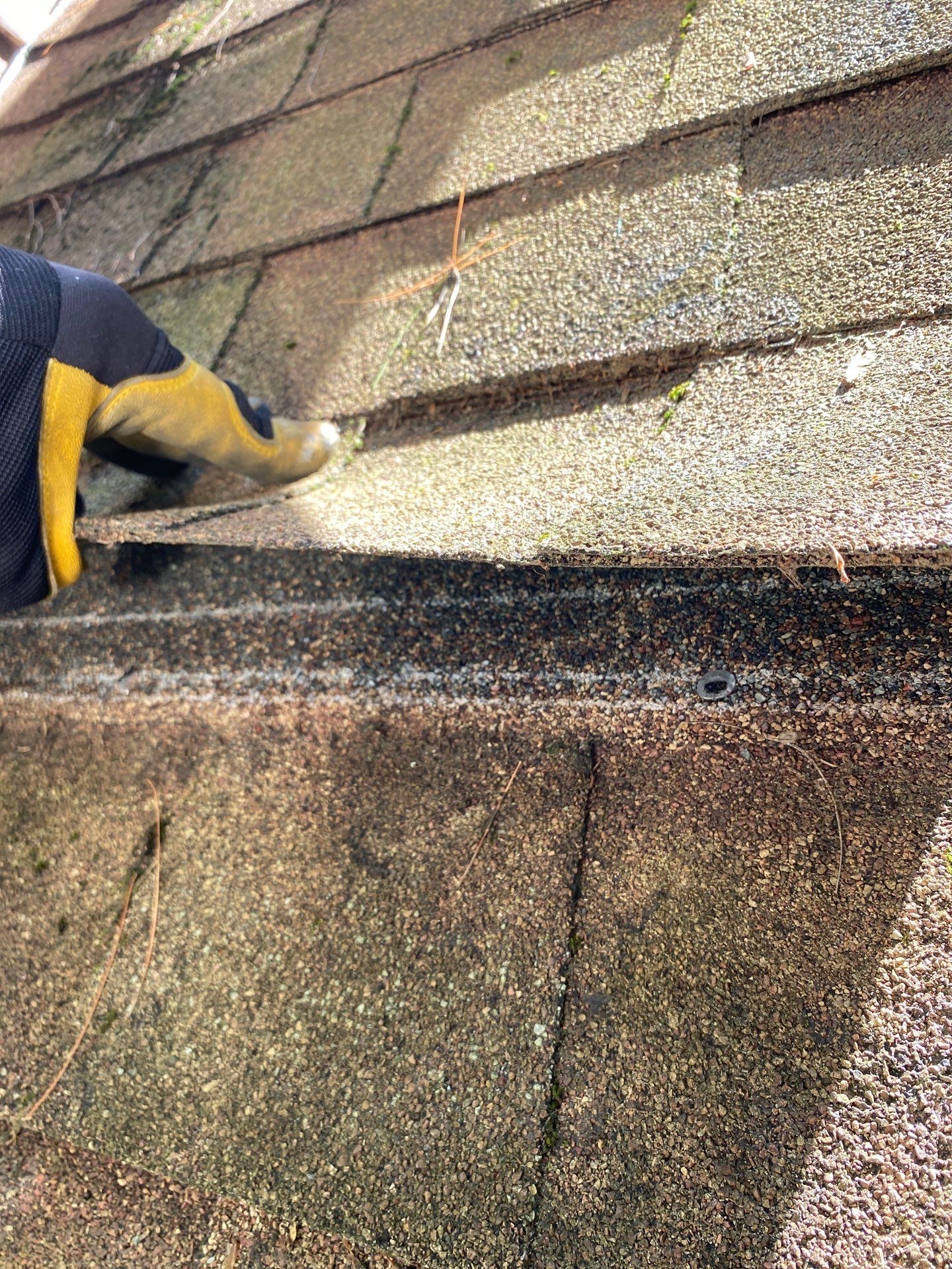 Roof Replacement – Rosalie Brown, MA by Mighty Dog Roofing of Greater Middlesex County