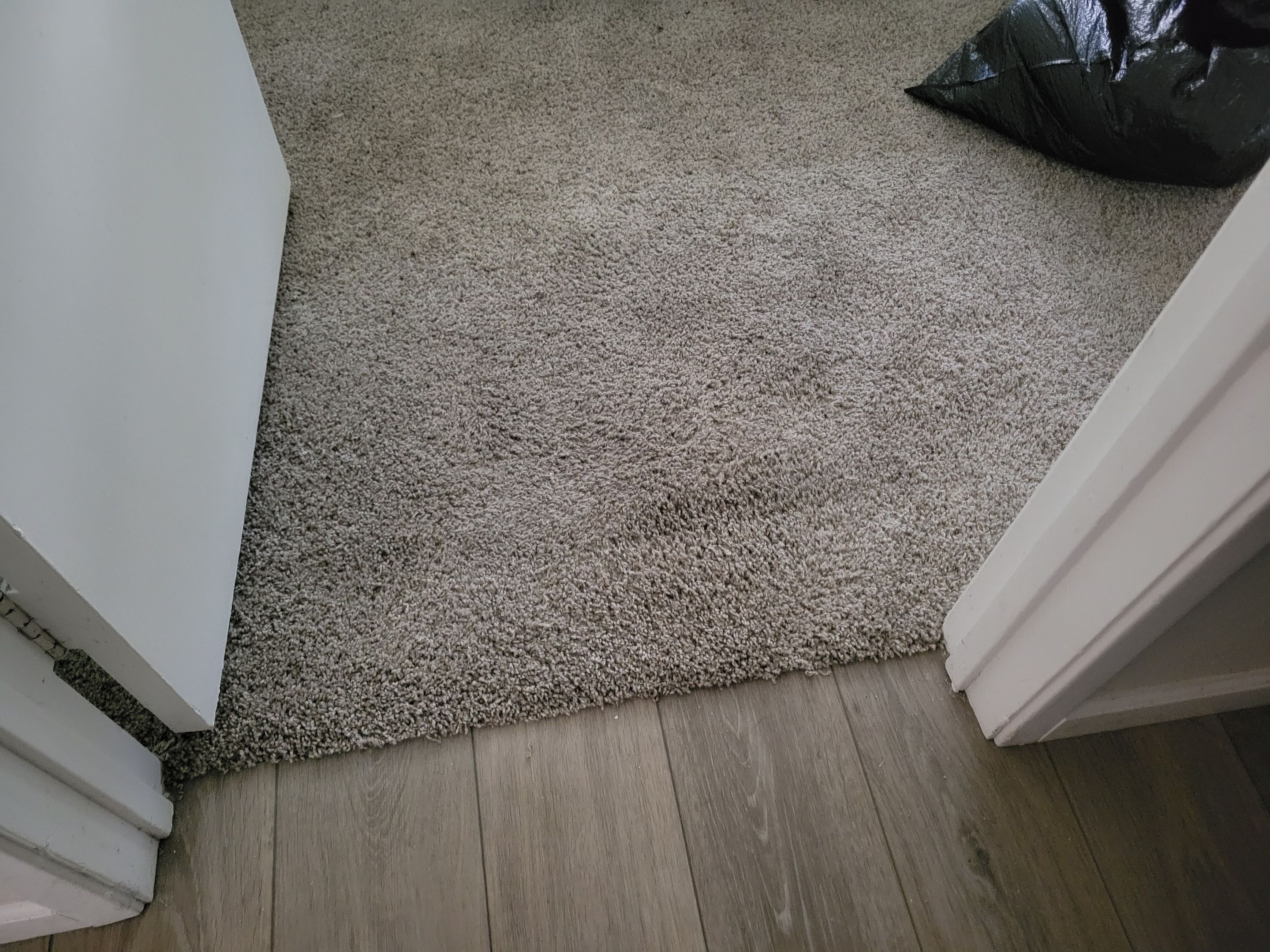 Repairing Carpet Damaged by a Dog by Ardent Carpet Restore LLC