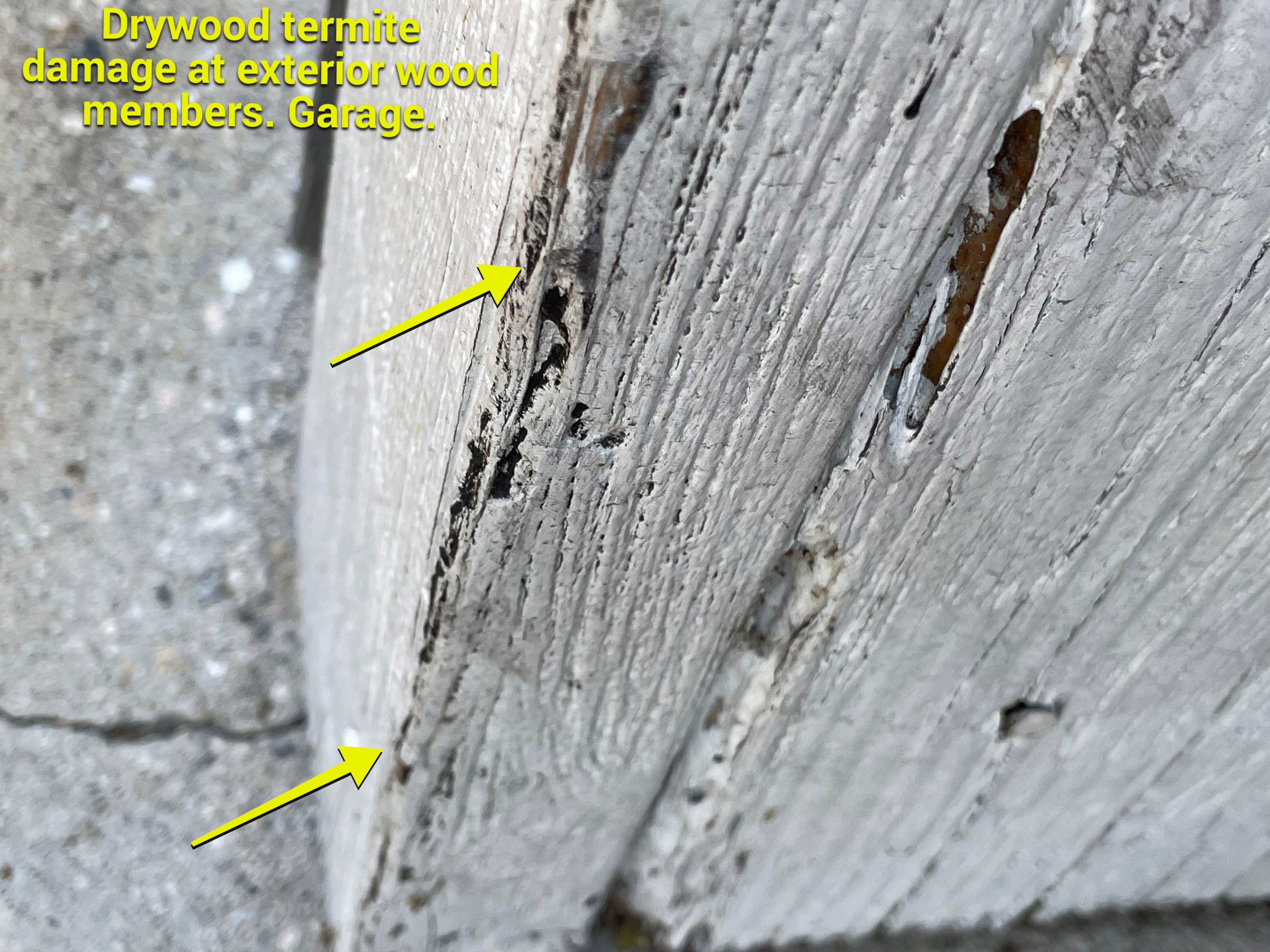 Wood Destroying Organisms Report by GLOBAL Termite Solutions