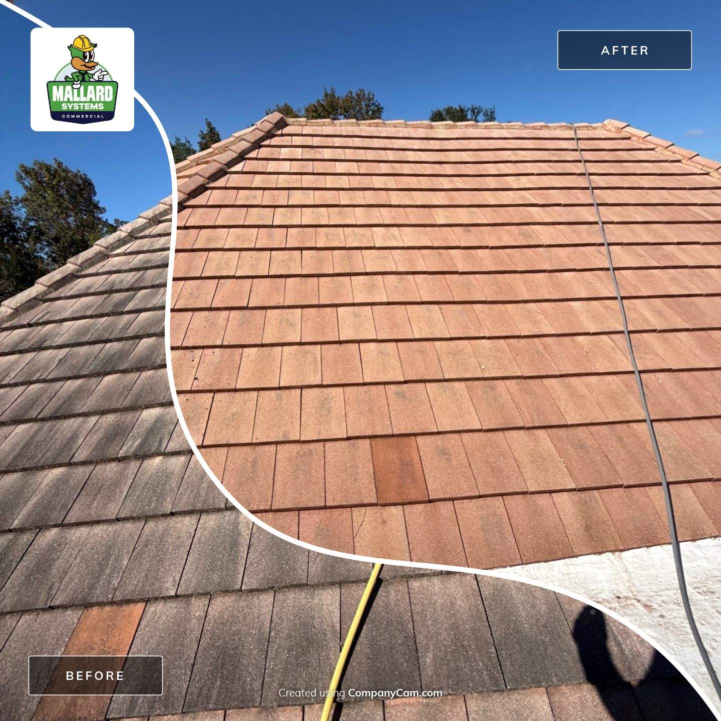 Flat Tile Roof Cleaning by Mallard Systems